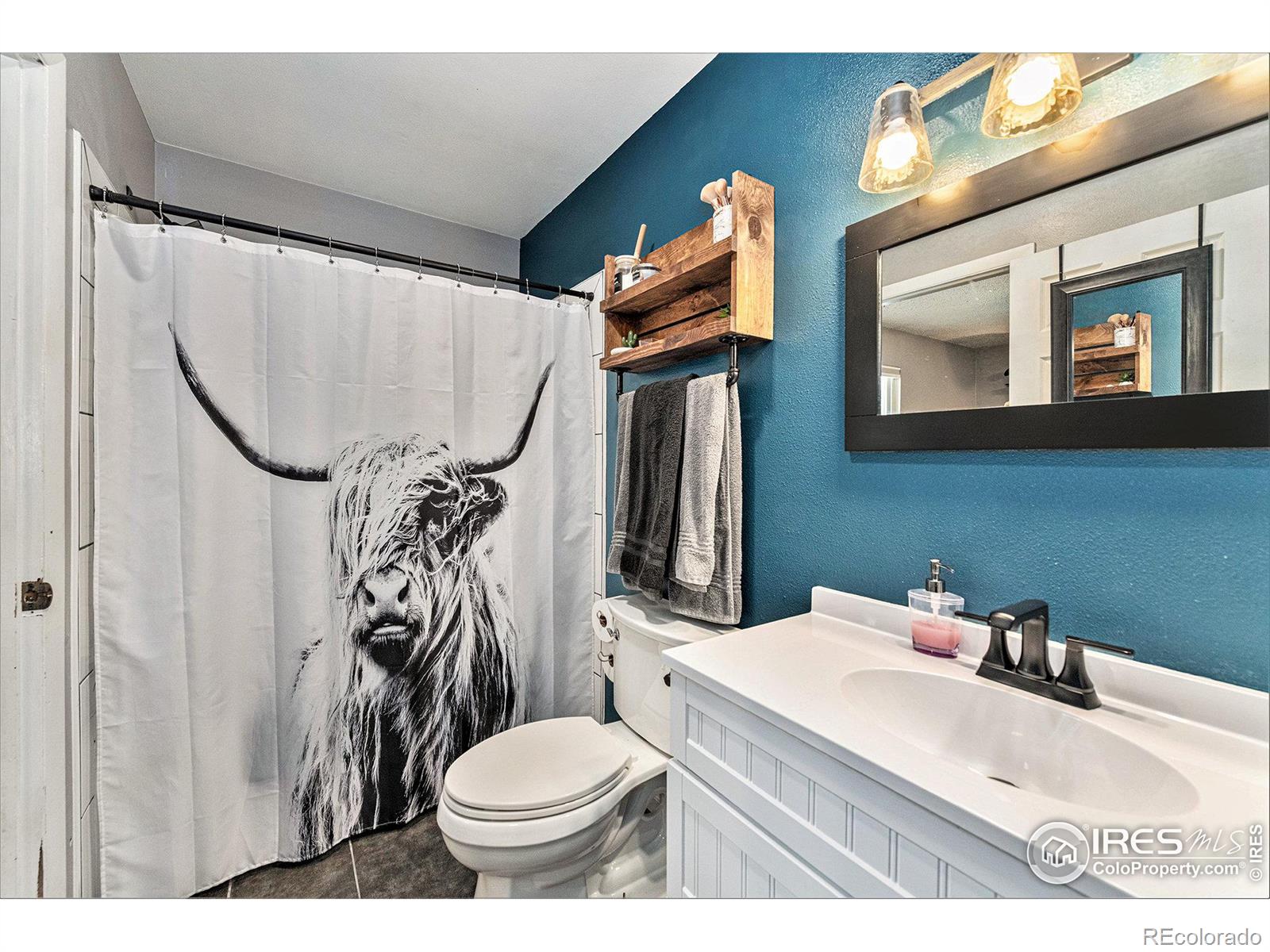 MLS Image #11 for 7849  1st street,wellington, Colorado