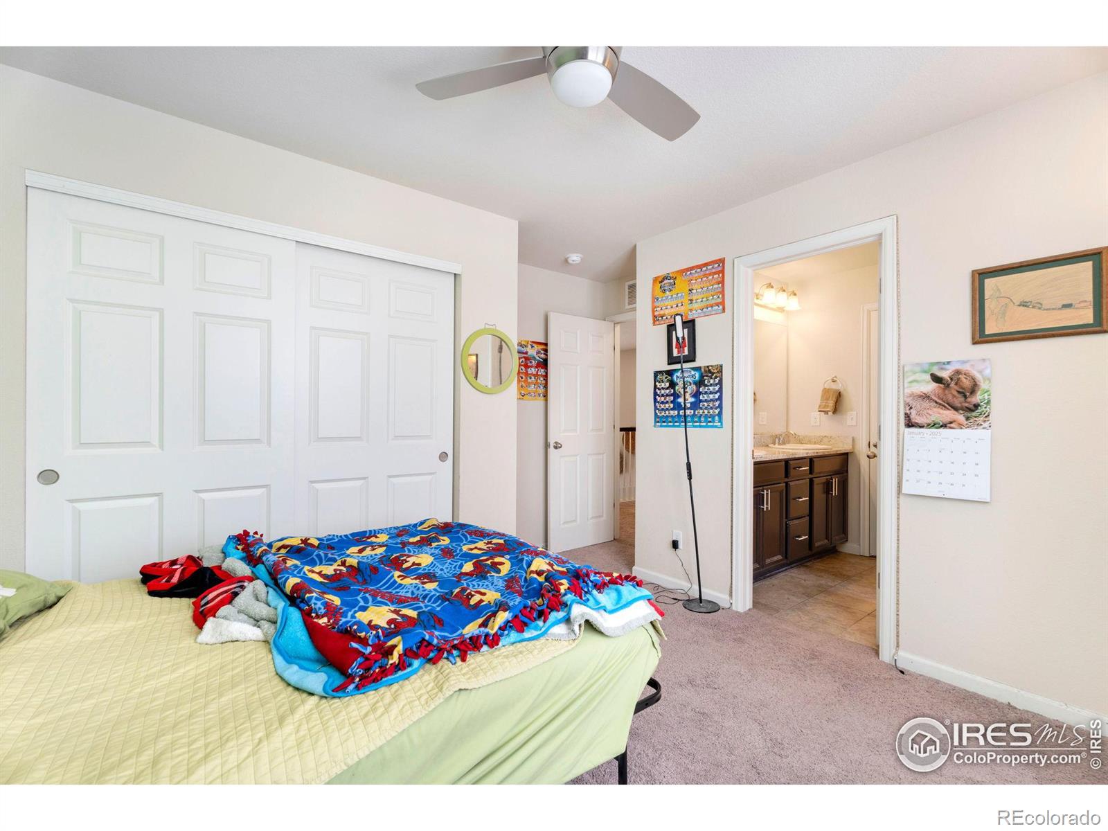 MLS Image #25 for 6770  spring rain road,timnath, Colorado