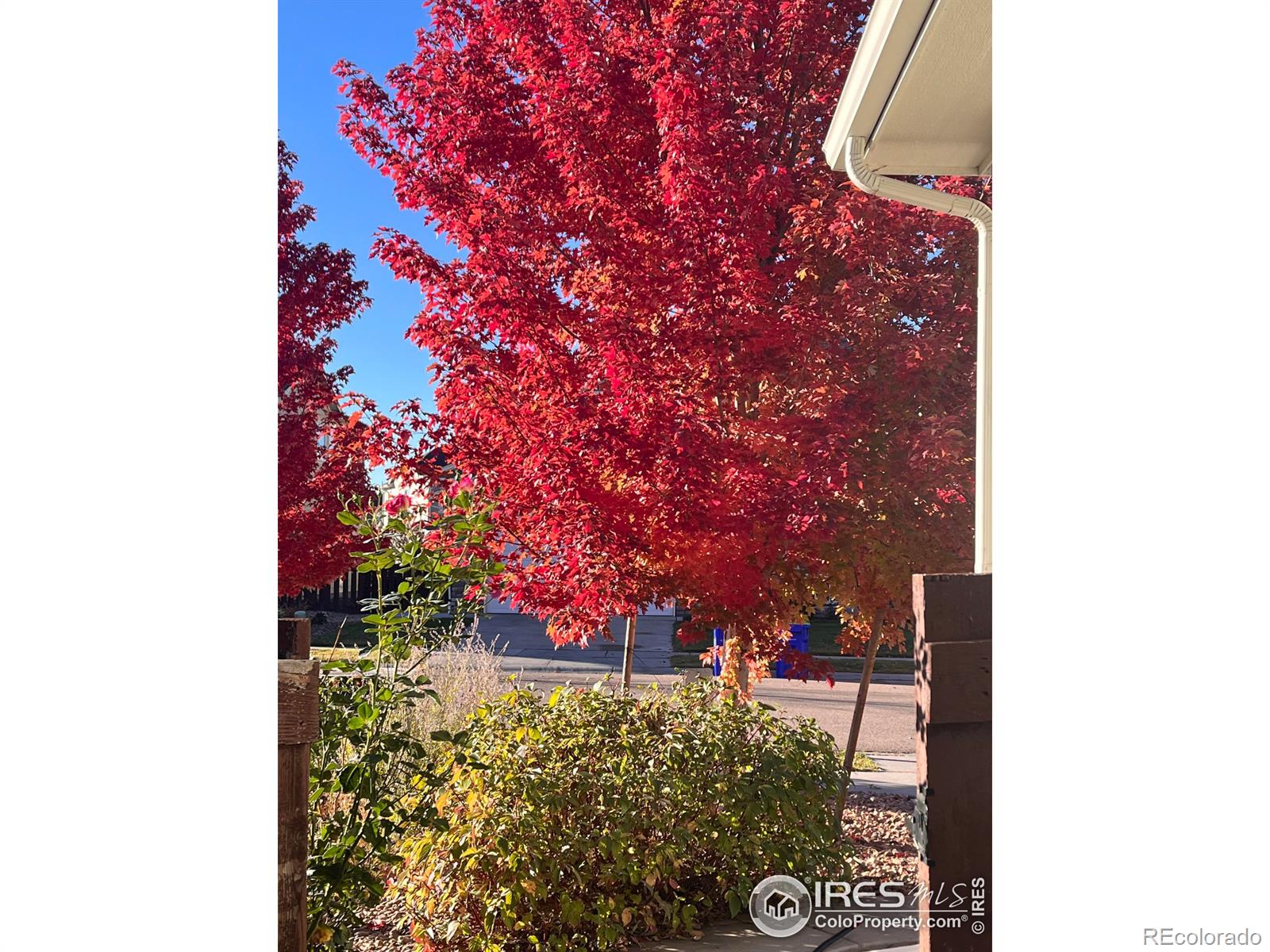 MLS Image #33 for 6770  spring rain road,timnath, Colorado