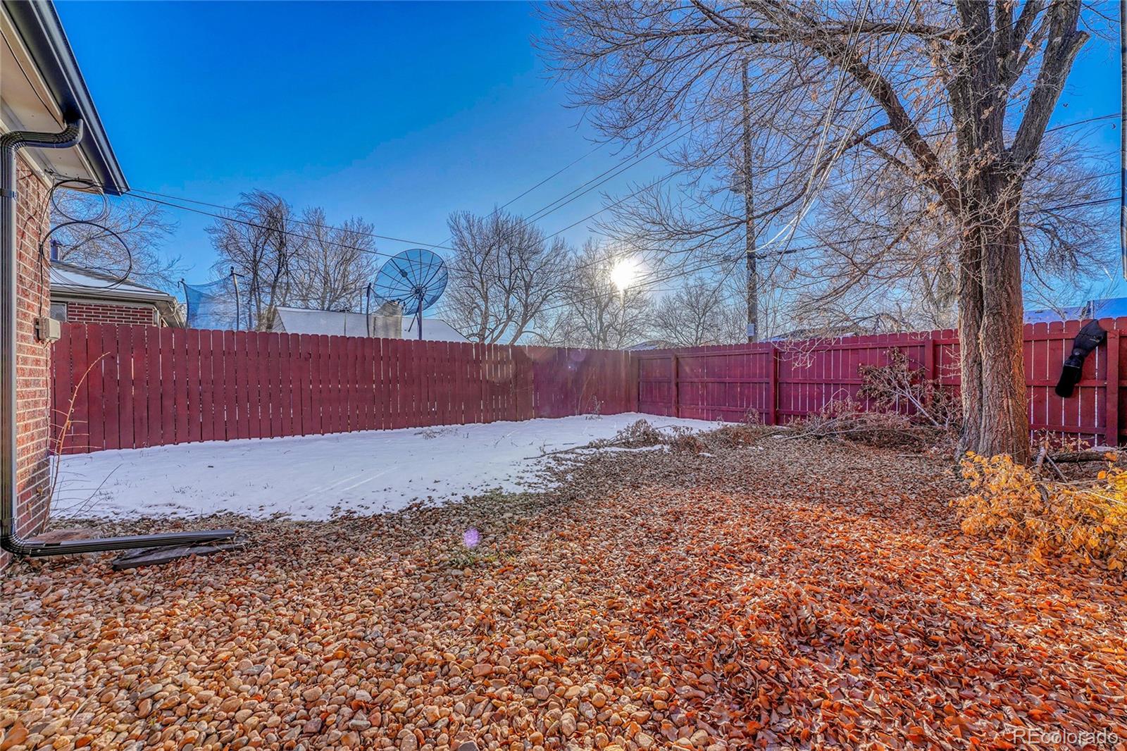 MLS Image #4 for 3581  olive street,denver, Colorado