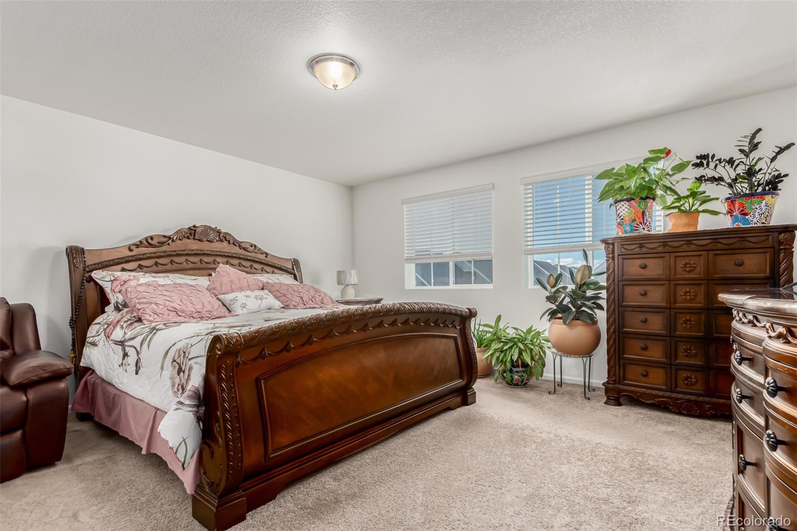 MLS Image #10 for 18681 e 54th place,denver, Colorado