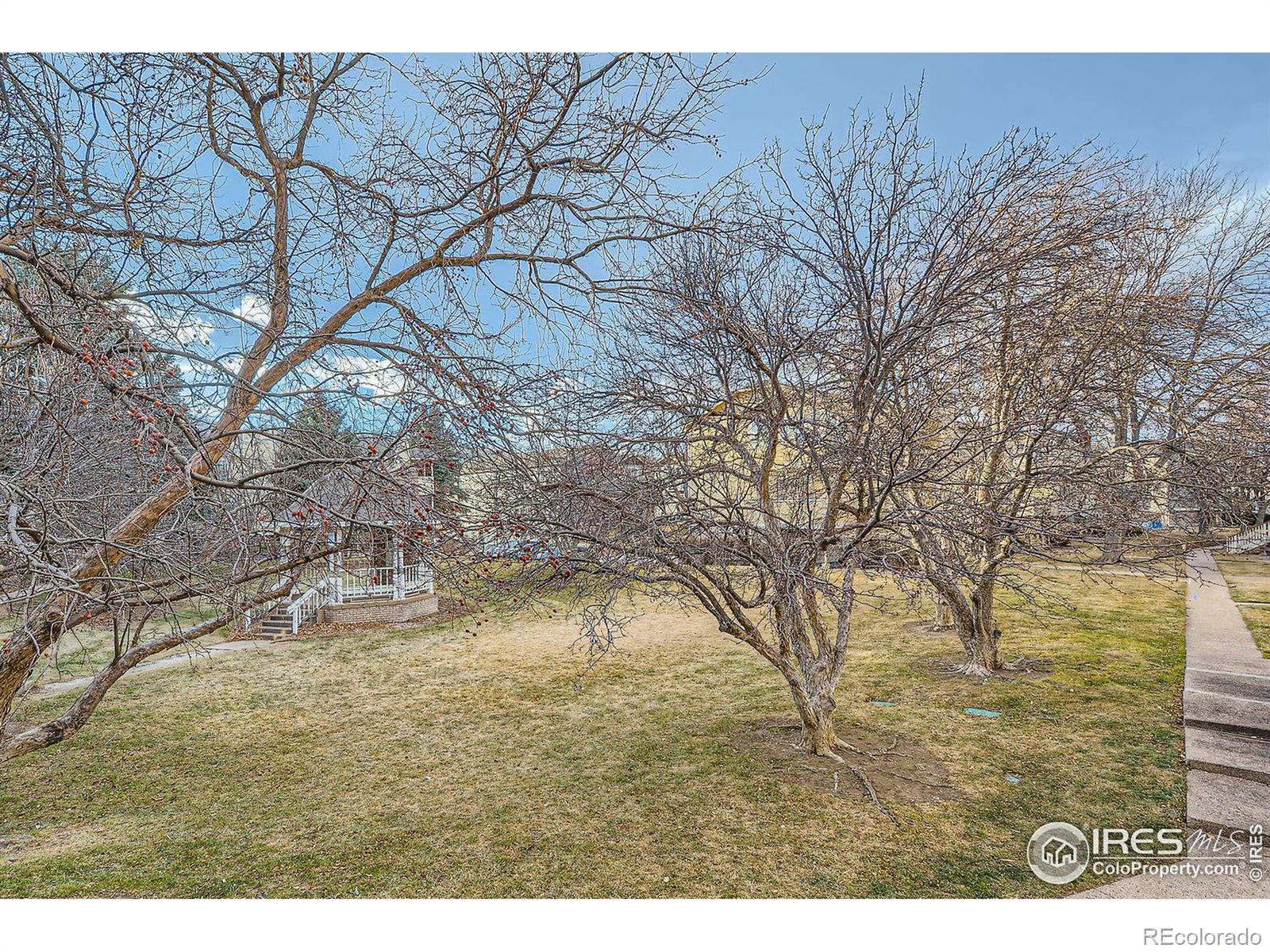 MLS Image #25 for 3200  azalea drive,fort collins, Colorado