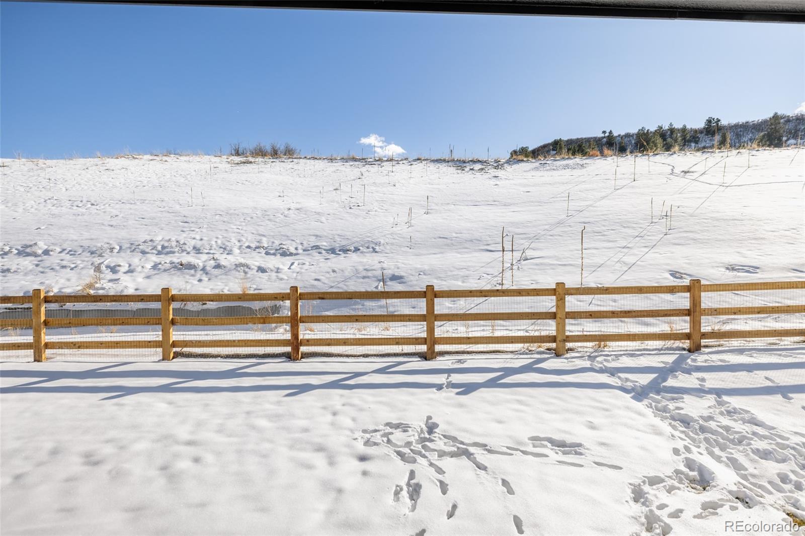 MLS Image #28 for 1125  brotherton point,castle rock, Colorado