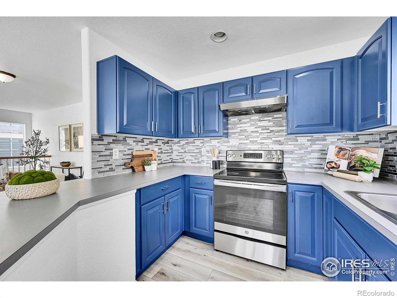 MLS Image #19 for 3912  alcazar drive,castle rock, Colorado