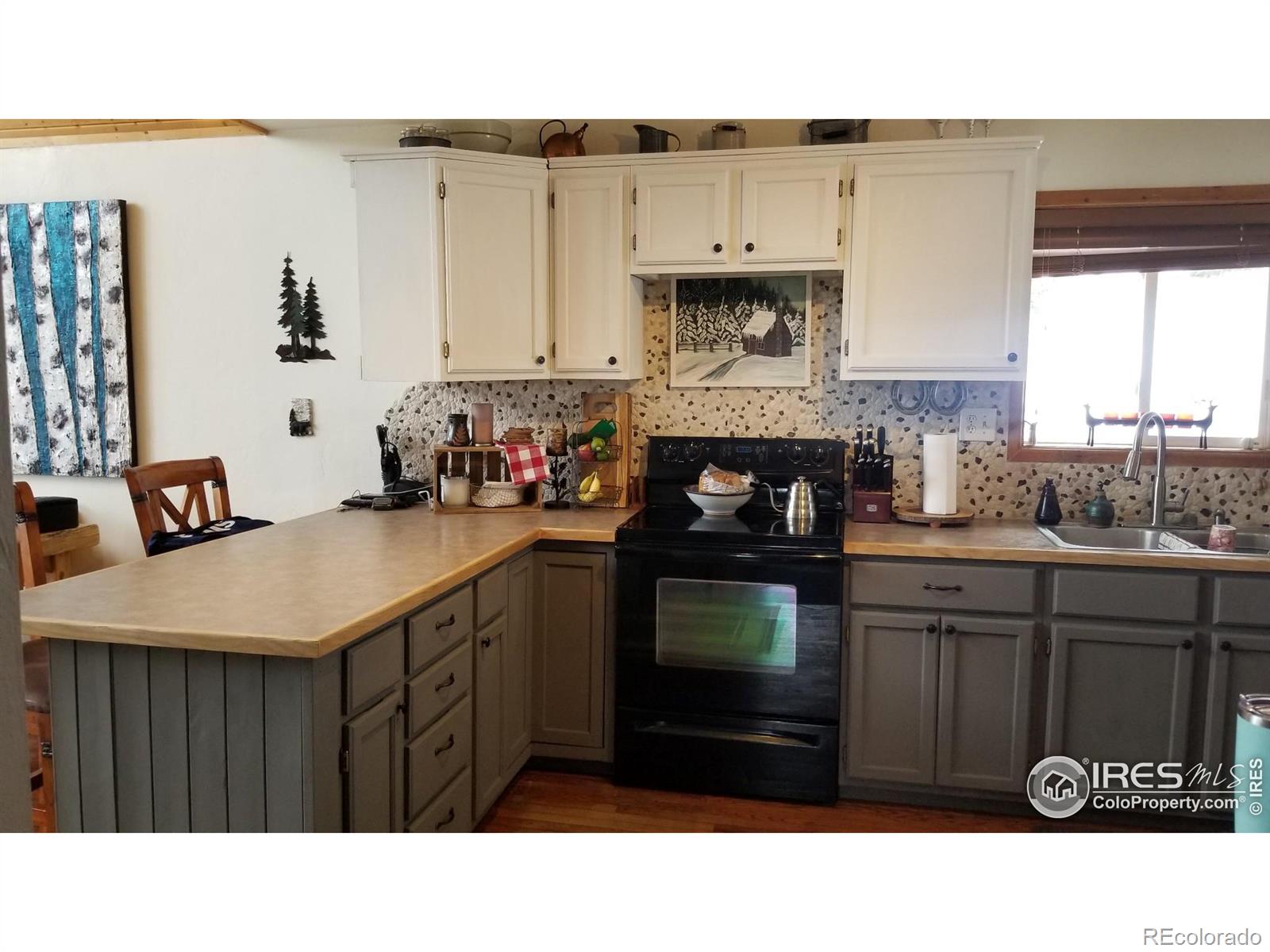 MLS Image #15 for 131  maroon bells circle,livermore, Colorado