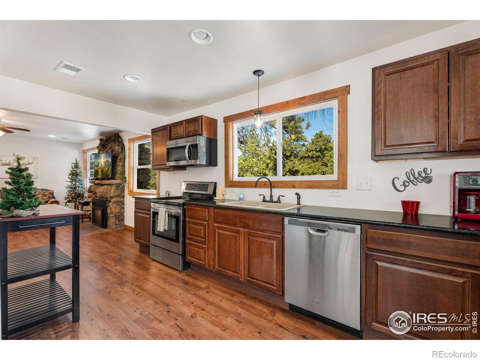 MLS Image #16 for 1190  marys lake road,estes park, Colorado