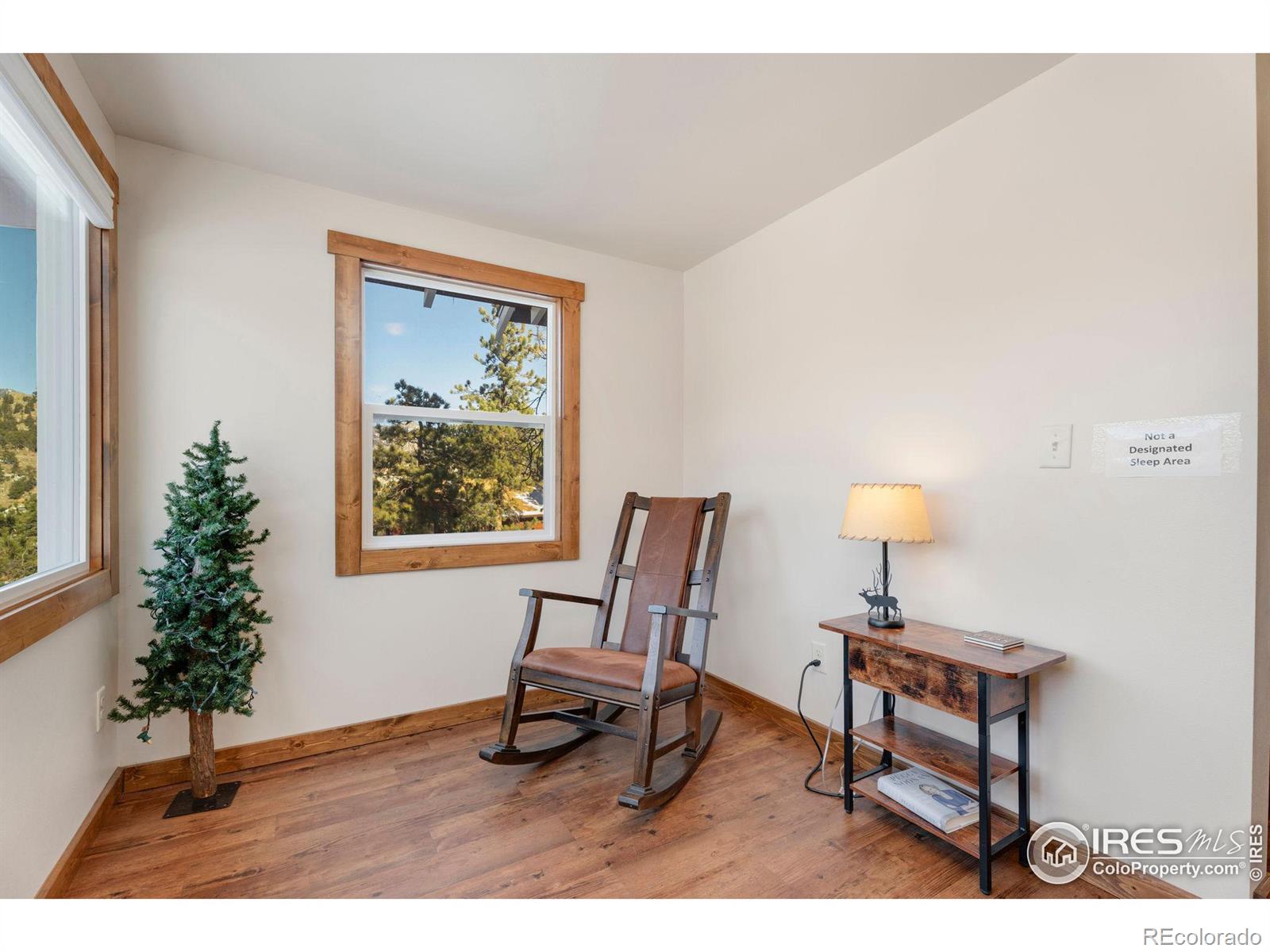 MLS Image #17 for 1190  marys lake road,estes park, Colorado