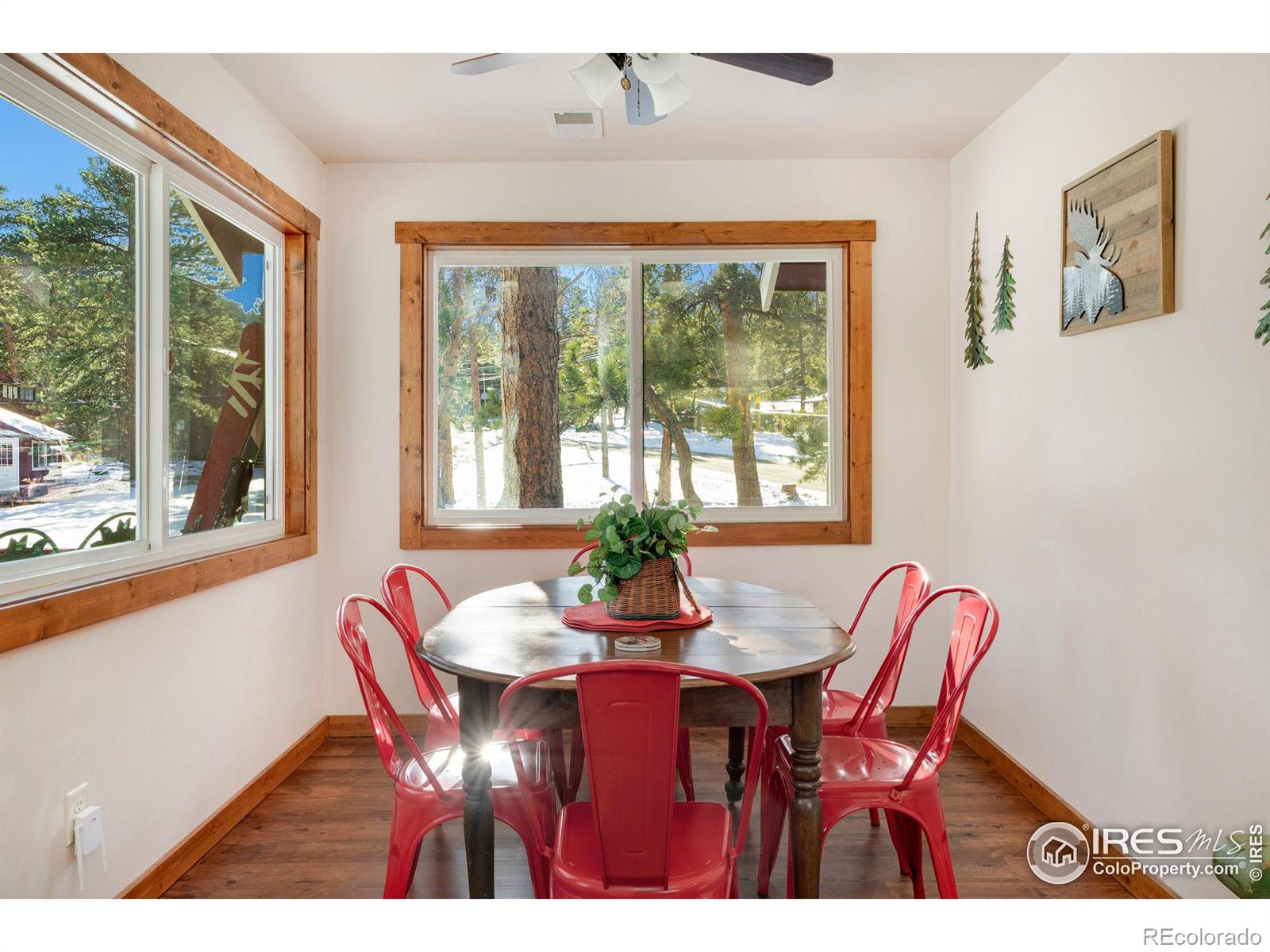 MLS Image #18 for 1190  marys lake road,estes park, Colorado