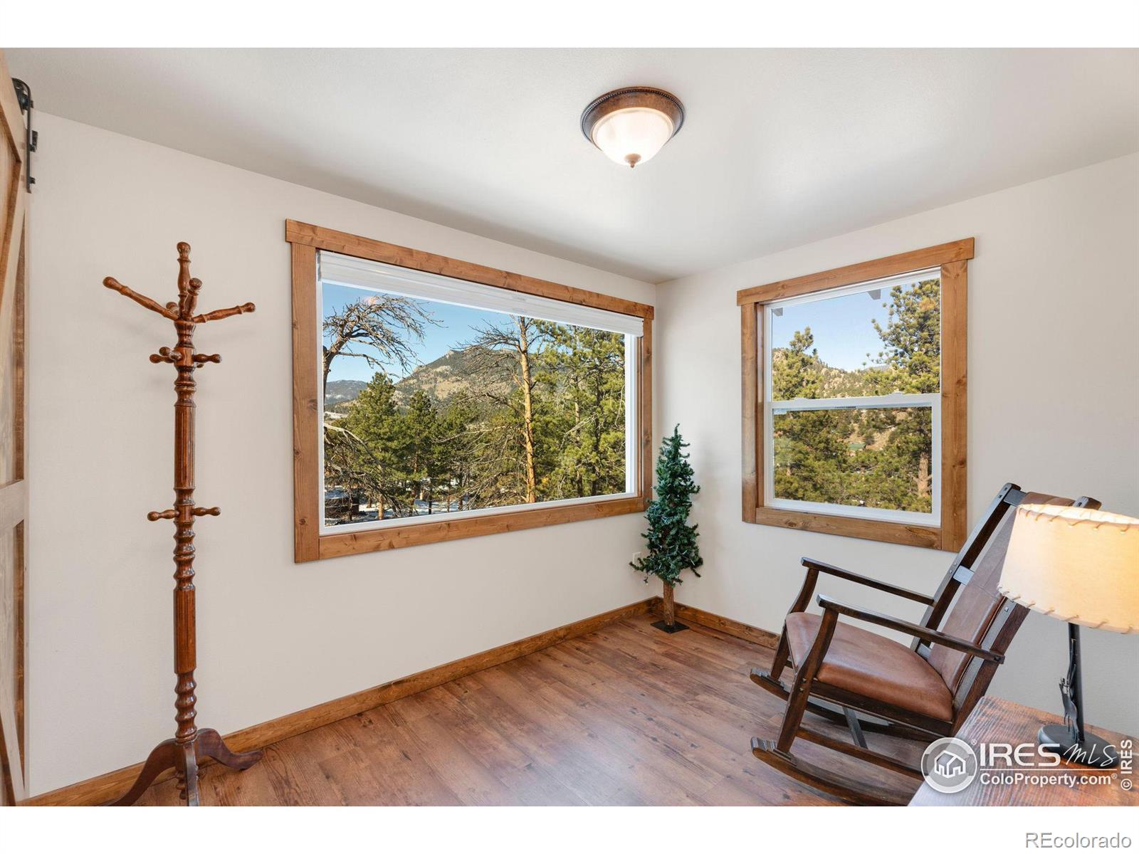 MLS Image #20 for 1190  marys lake road,estes park, Colorado