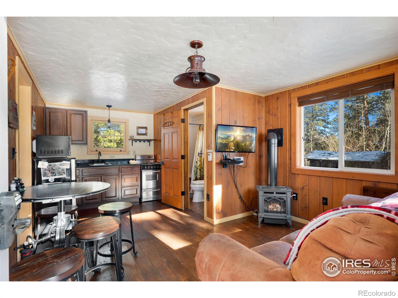 MLS Image #26 for 1190  marys lake road,estes park, Colorado