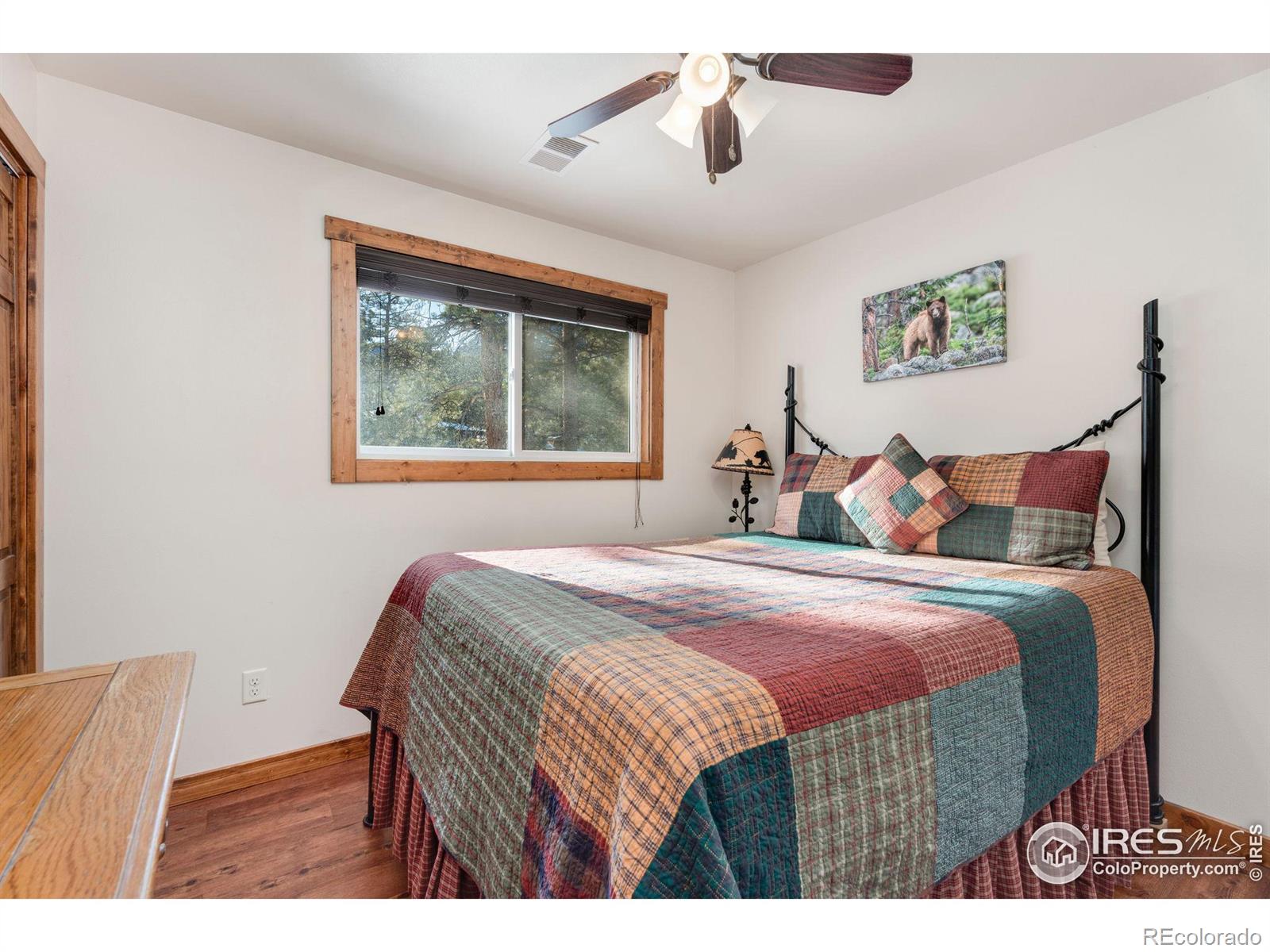 MLS Image #9 for 1190  marys lake road,estes park, Colorado