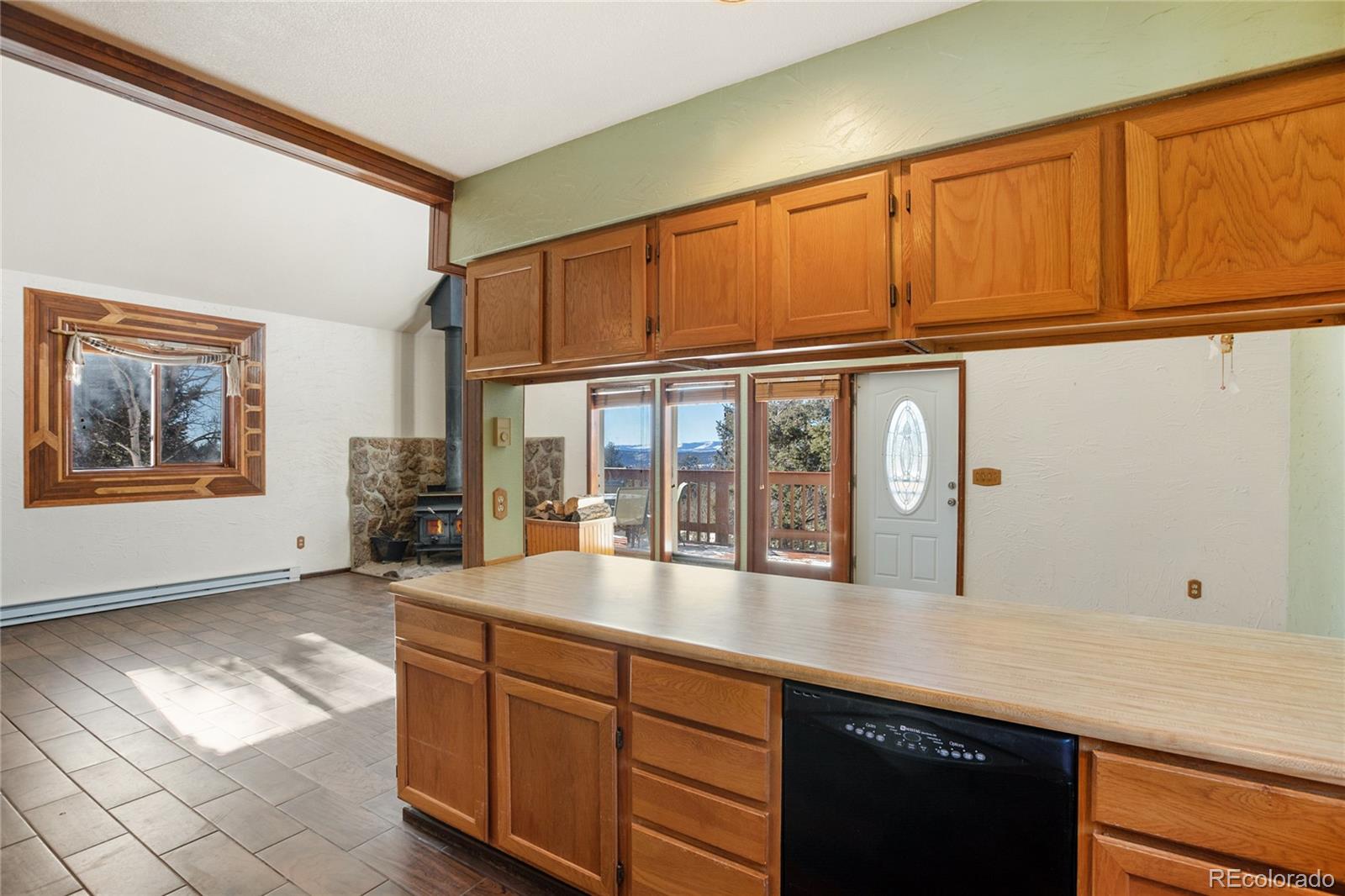 MLS Image #14 for 131 w nevada circle,florissant, Colorado