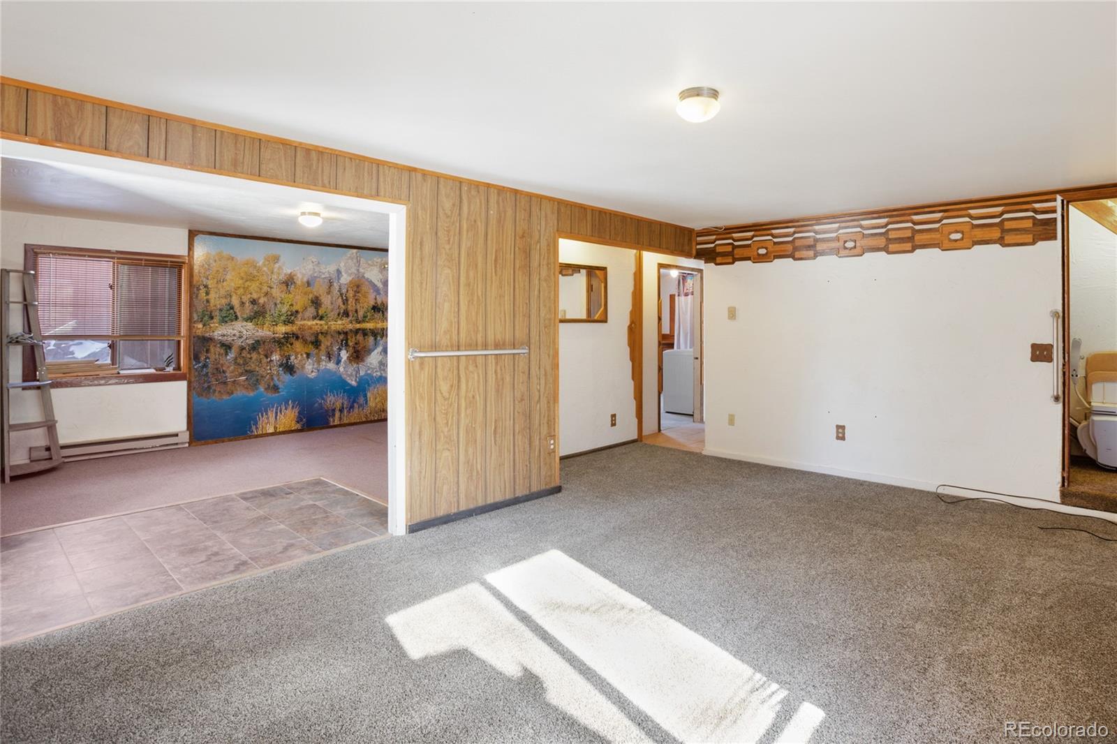 MLS Image #35 for 131 w nevada circle,florissant, Colorado