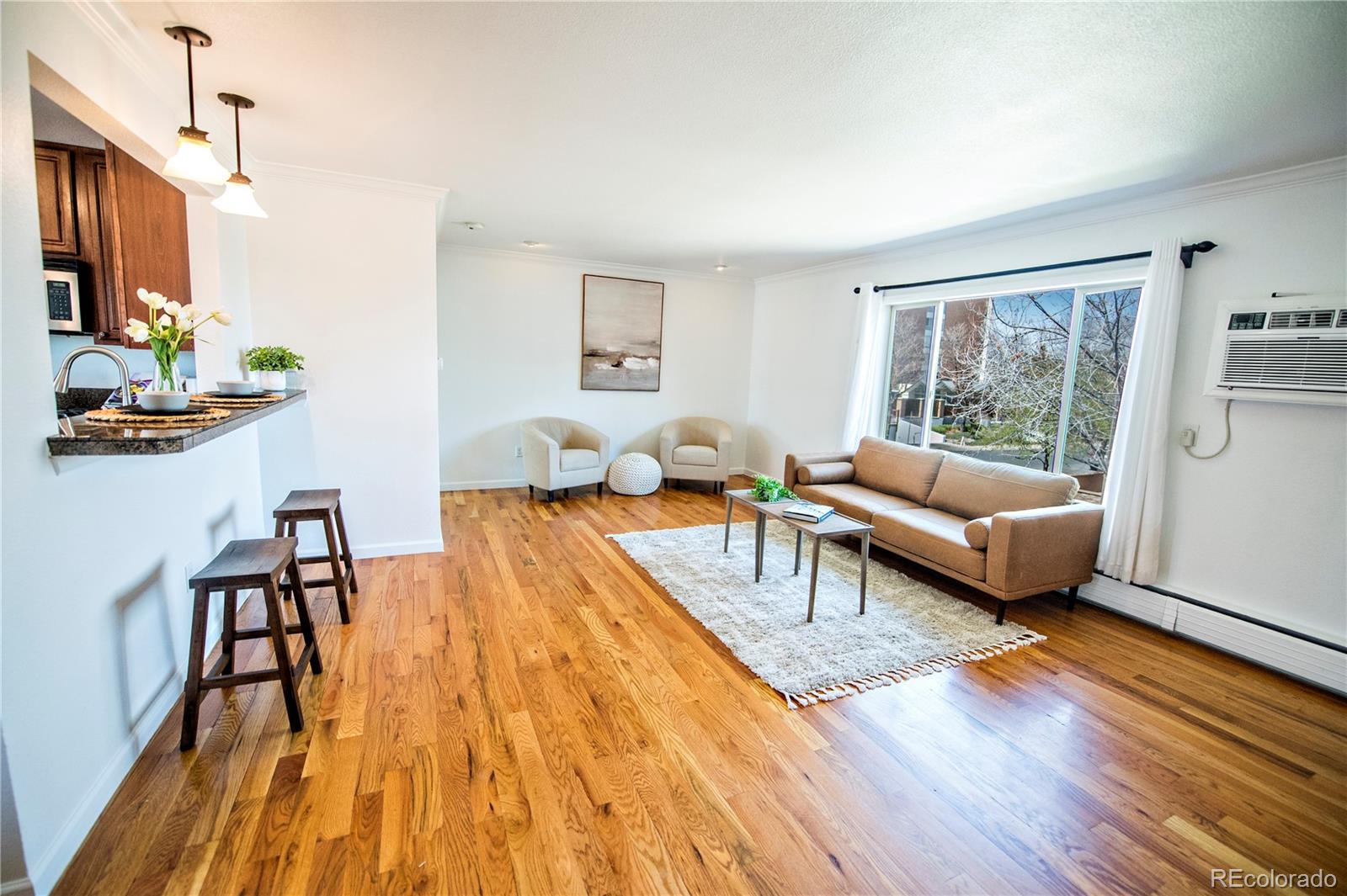 MLS Image #3 for 920  eudora street,denver, Colorado