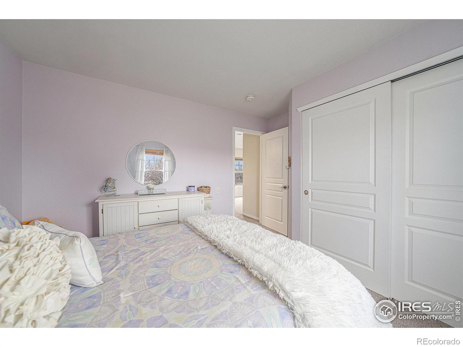 MLS Image #22 for 2703  amber waves lane,fort collins, Colorado