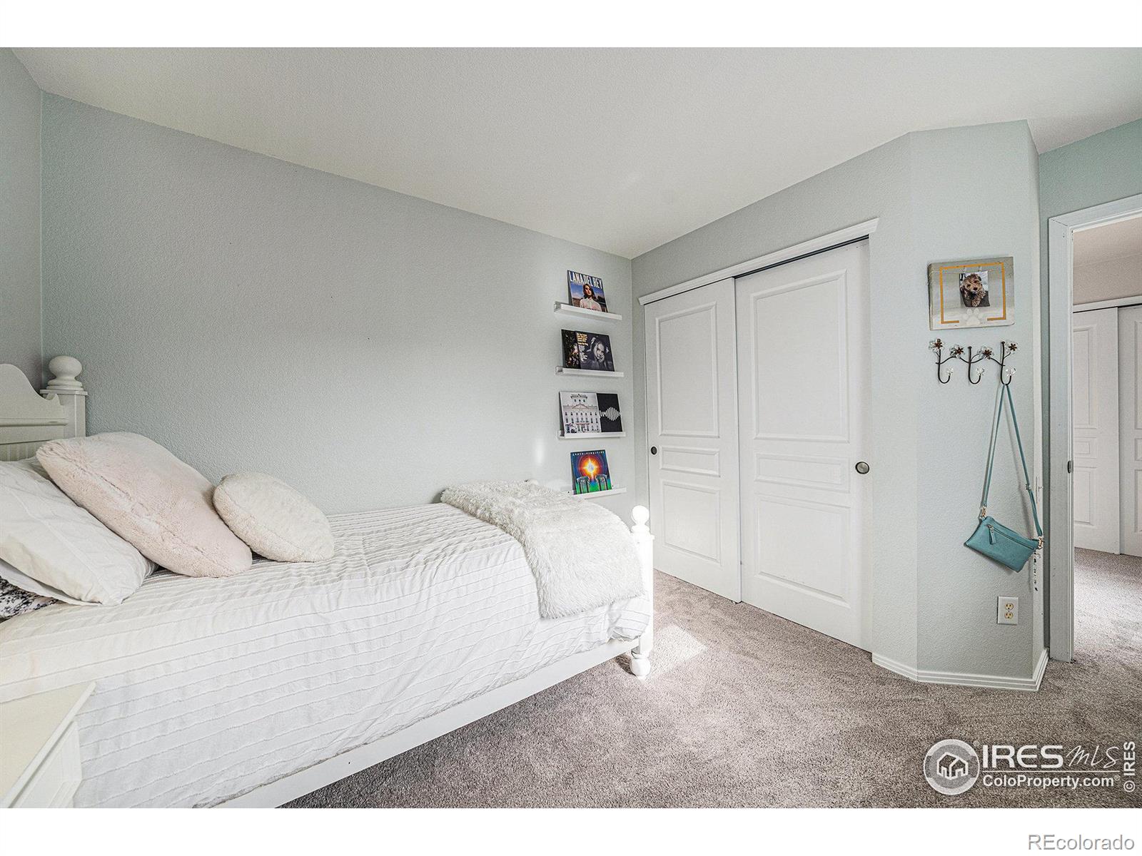 MLS Image #24 for 2703  amber waves lane,fort collins, Colorado