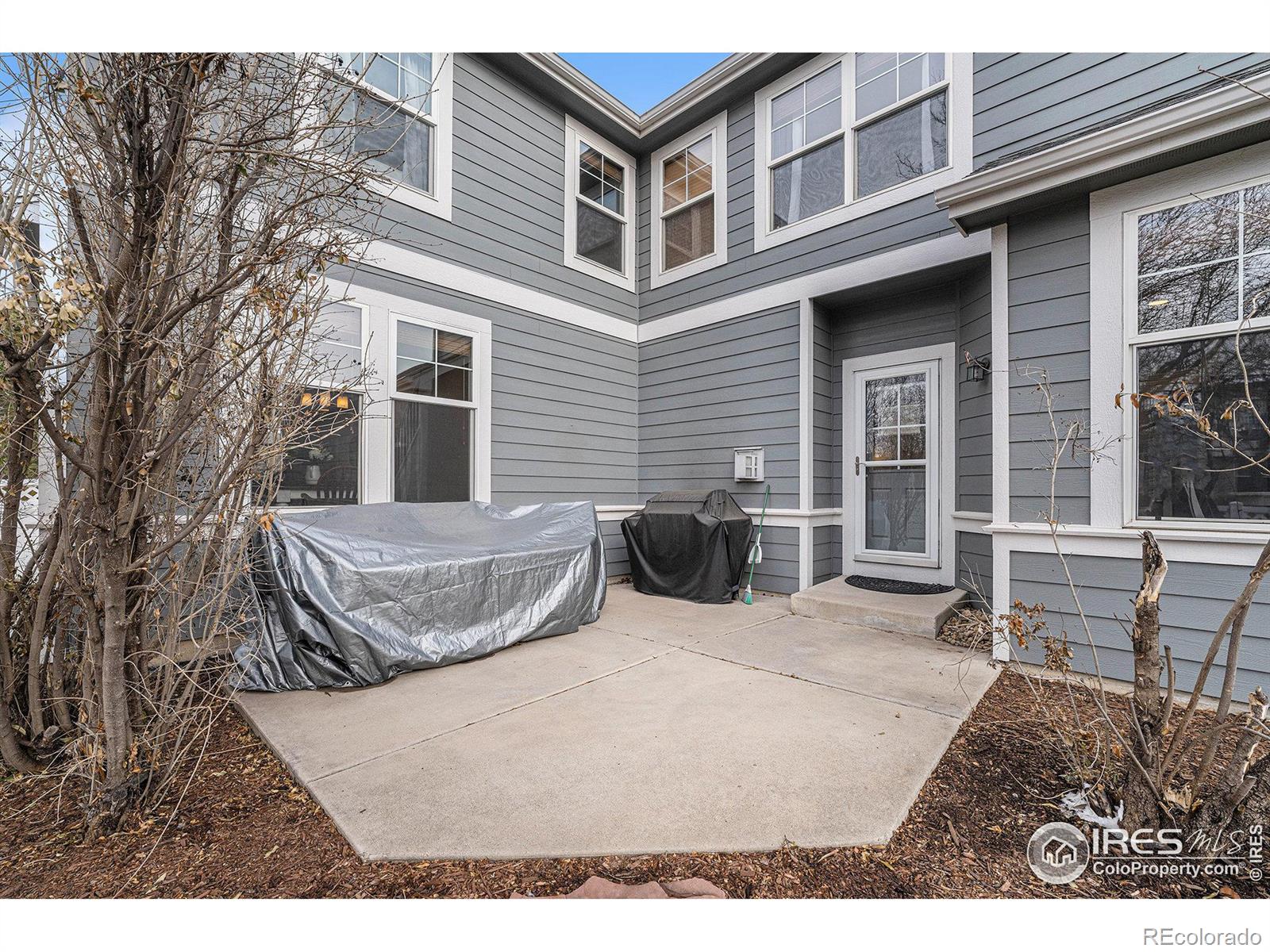 MLS Image #32 for 2703  amber waves lane,fort collins, Colorado