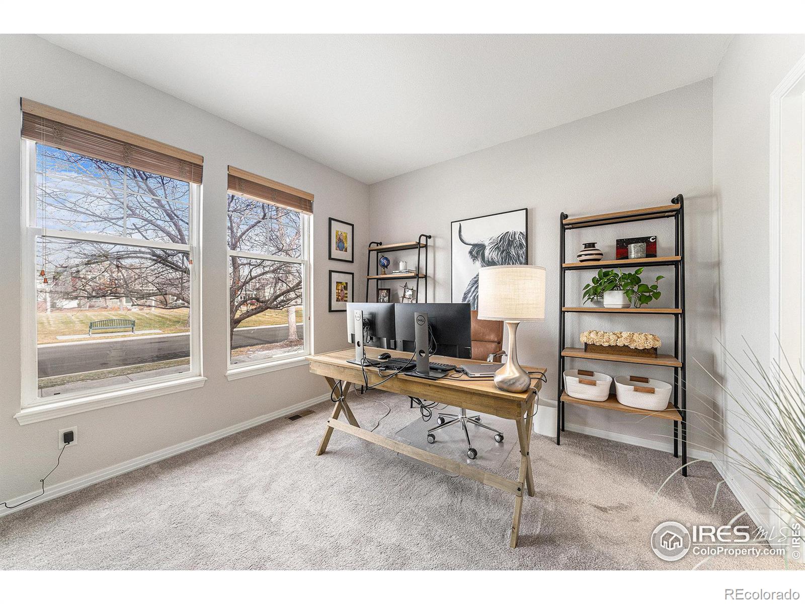 MLS Image #9 for 2703  amber waves lane,fort collins, Colorado