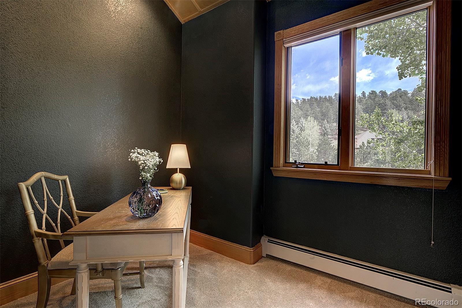 MLS Image #26 for 2191  baldy lane,evergreen, Colorado