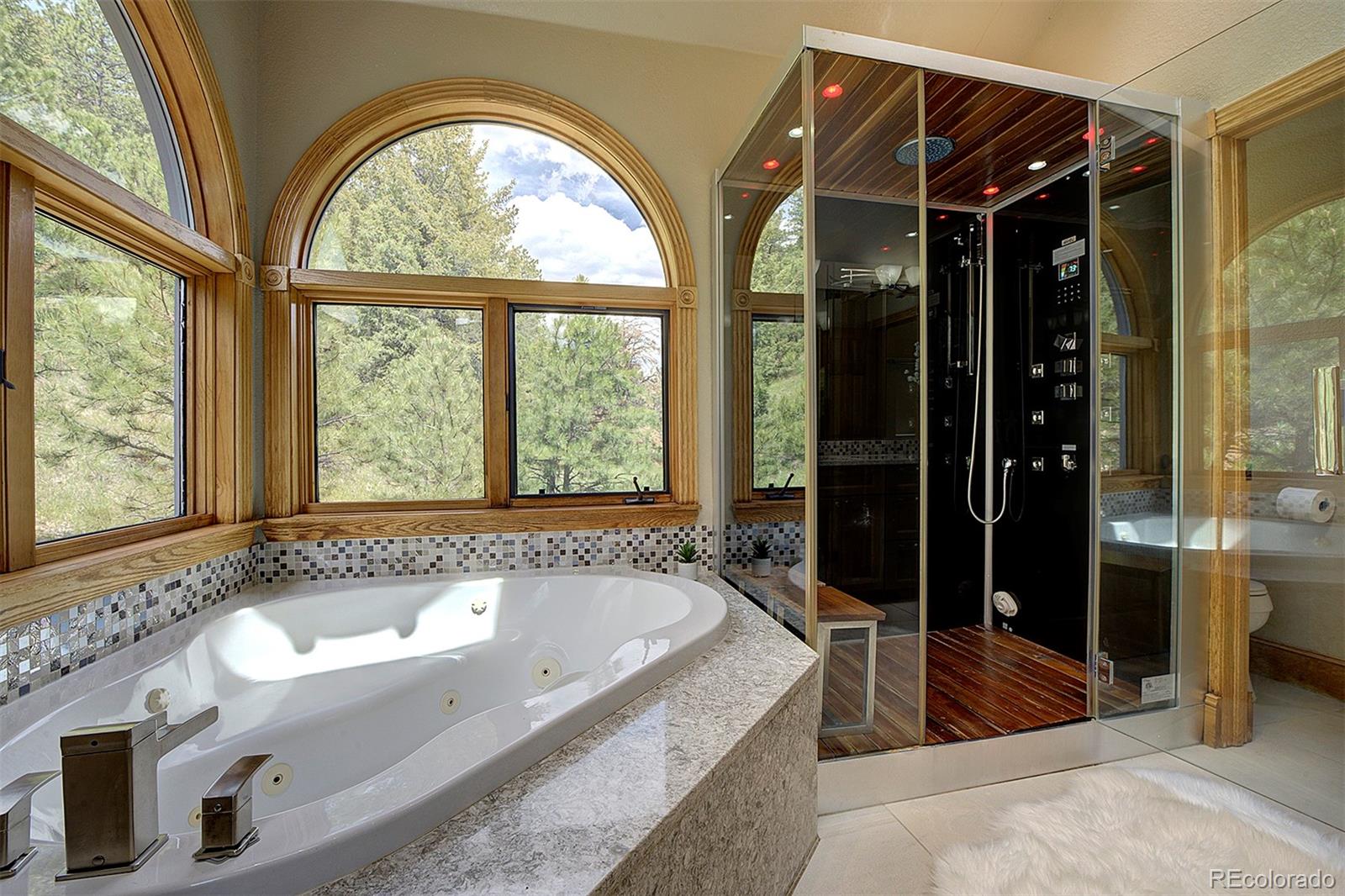 MLS Image #28 for 2191  baldy lane,evergreen, Colorado