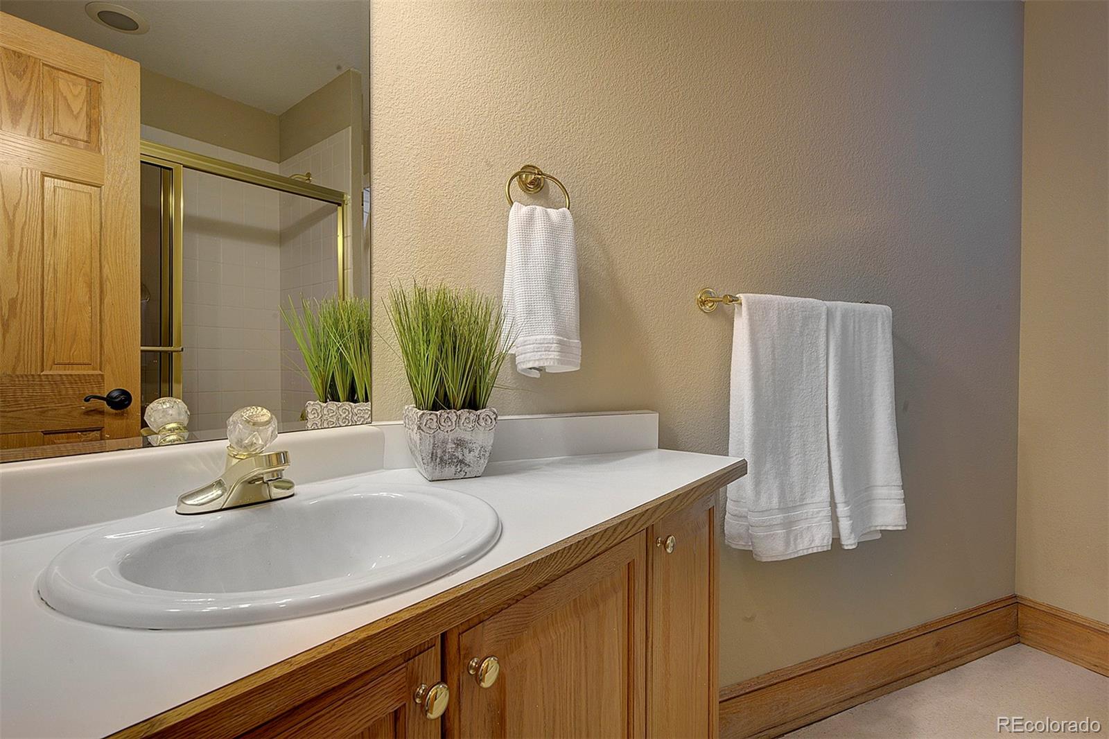 MLS Image #35 for 2191  baldy lane,evergreen, Colorado
