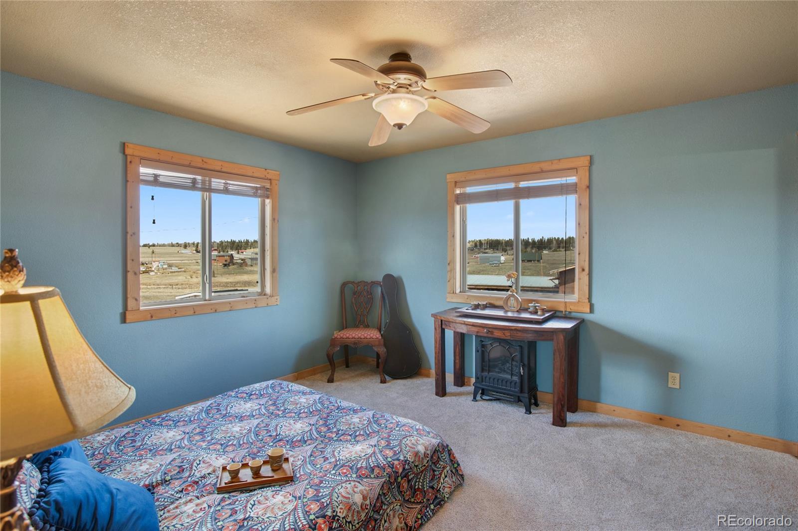 MLS Image #23 for 29  ridge point circle,divide, Colorado