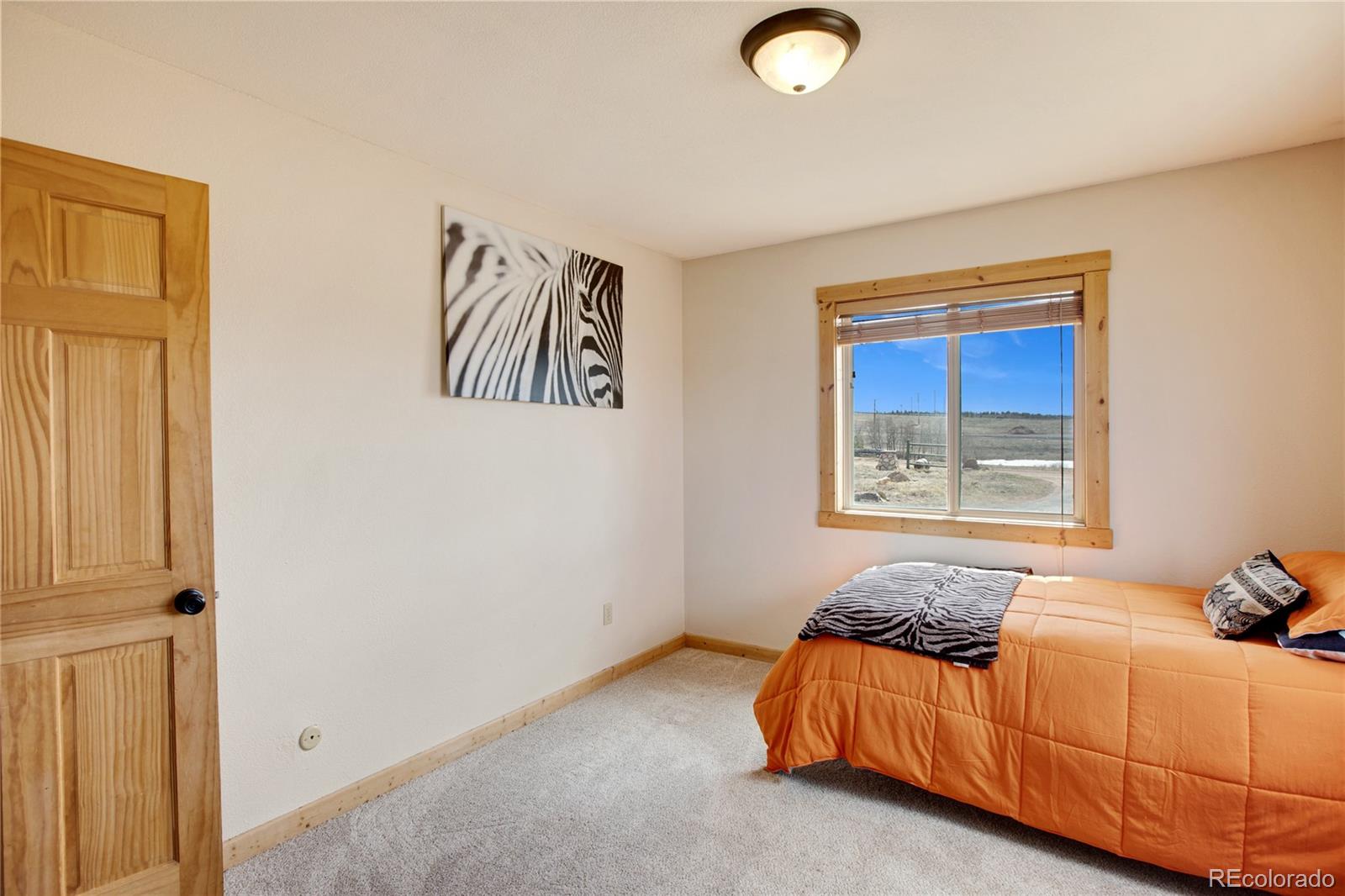 MLS Image #29 for 29  ridge point circle,divide, Colorado