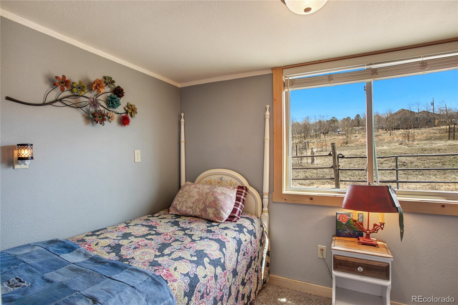 MLS Image #31 for 29  ridge point circle,divide, Colorado