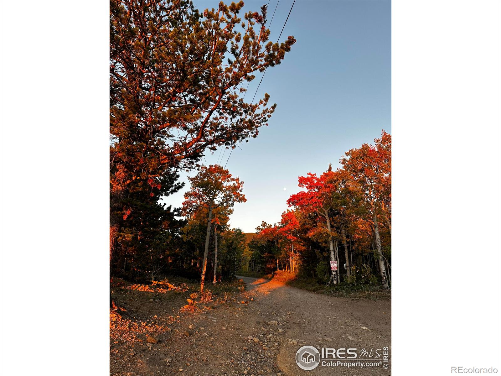 MLS Image #23 for 43391  peak to peak highway,ward, Colorado