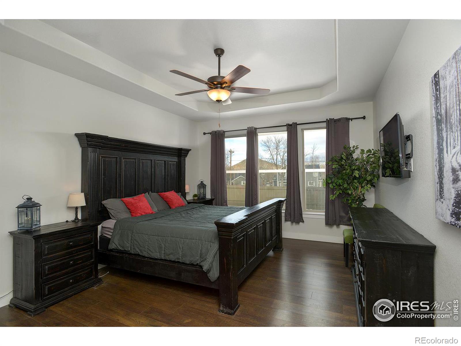 MLS Image #12 for 4367  martinson drive,loveland, Colorado