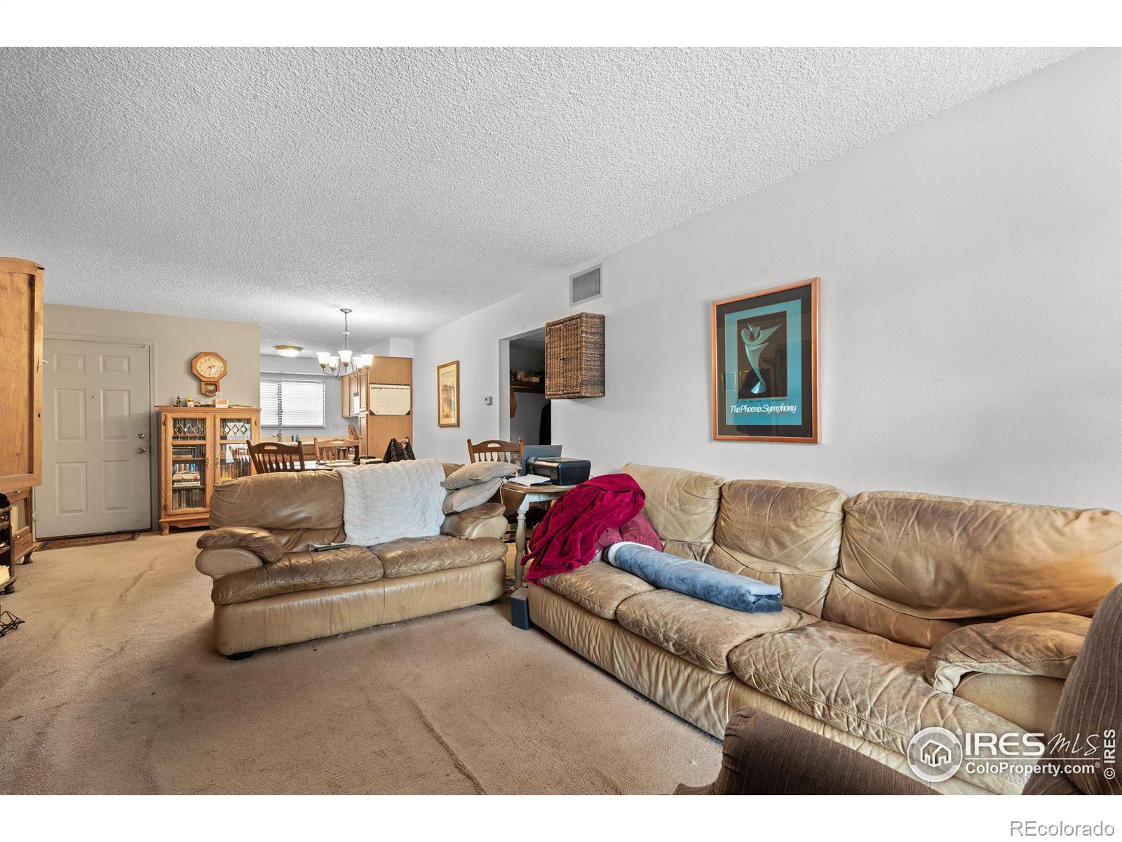 MLS Image #10 for 316  wright street,lakewood, Colorado