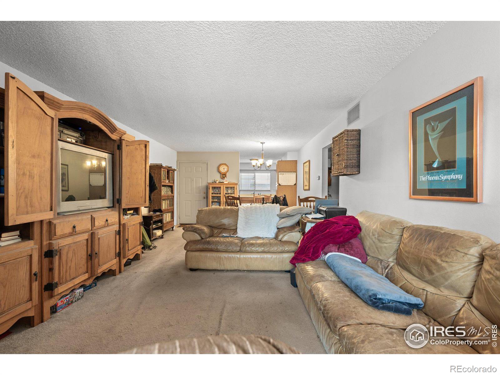 MLS Image #11 for 316  wright street,lakewood, Colorado