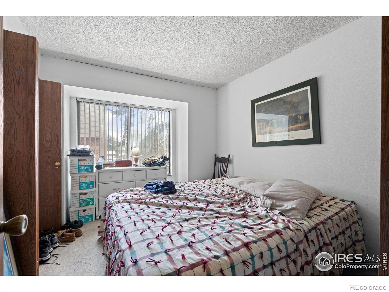 MLS Image #18 for 316  wright street,lakewood, Colorado