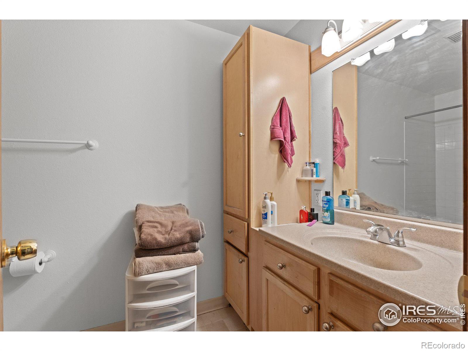 MLS Image #20 for 316  wright street,lakewood, Colorado