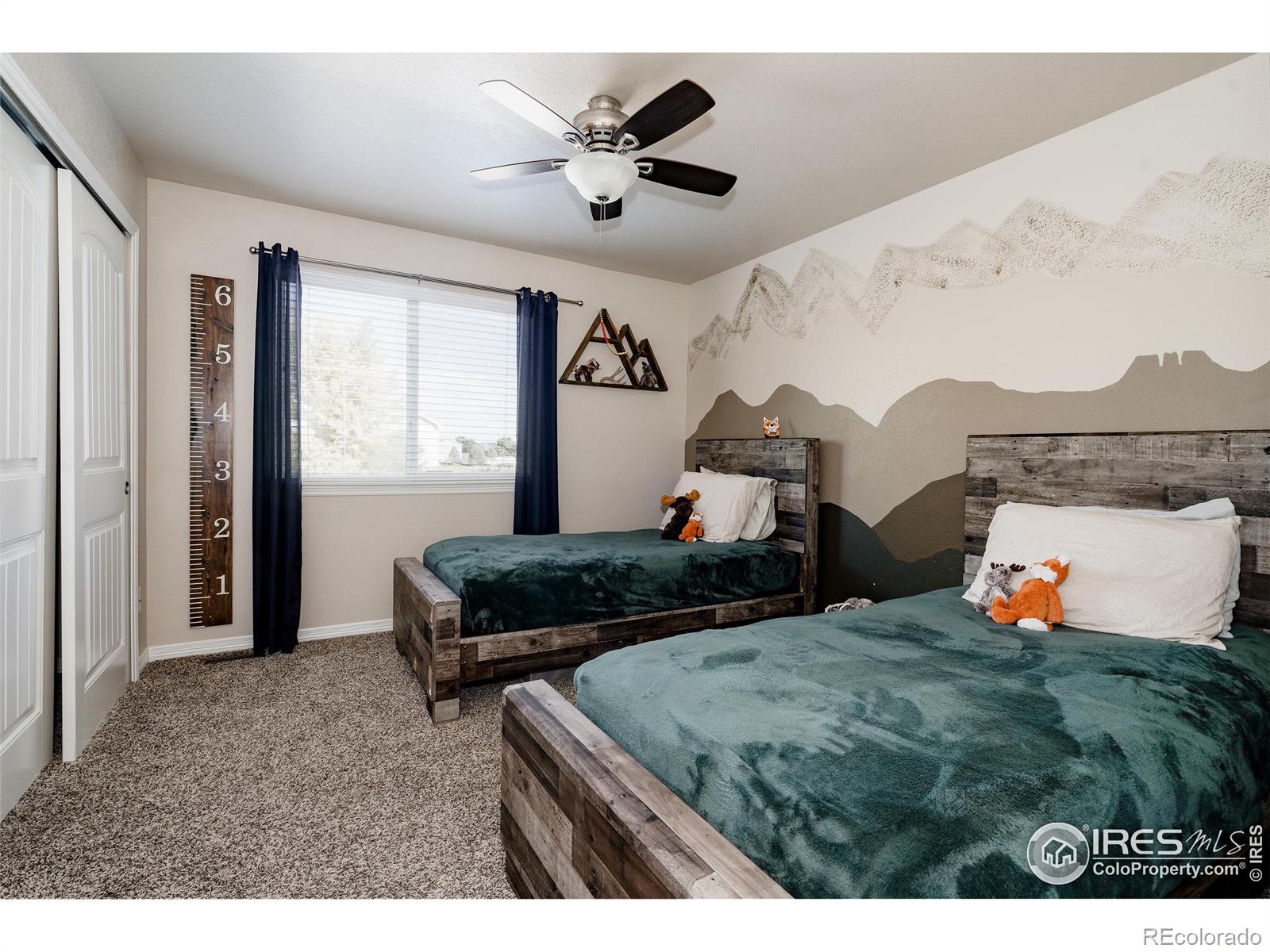 MLS Image #18 for 601  babine court,windsor, Colorado