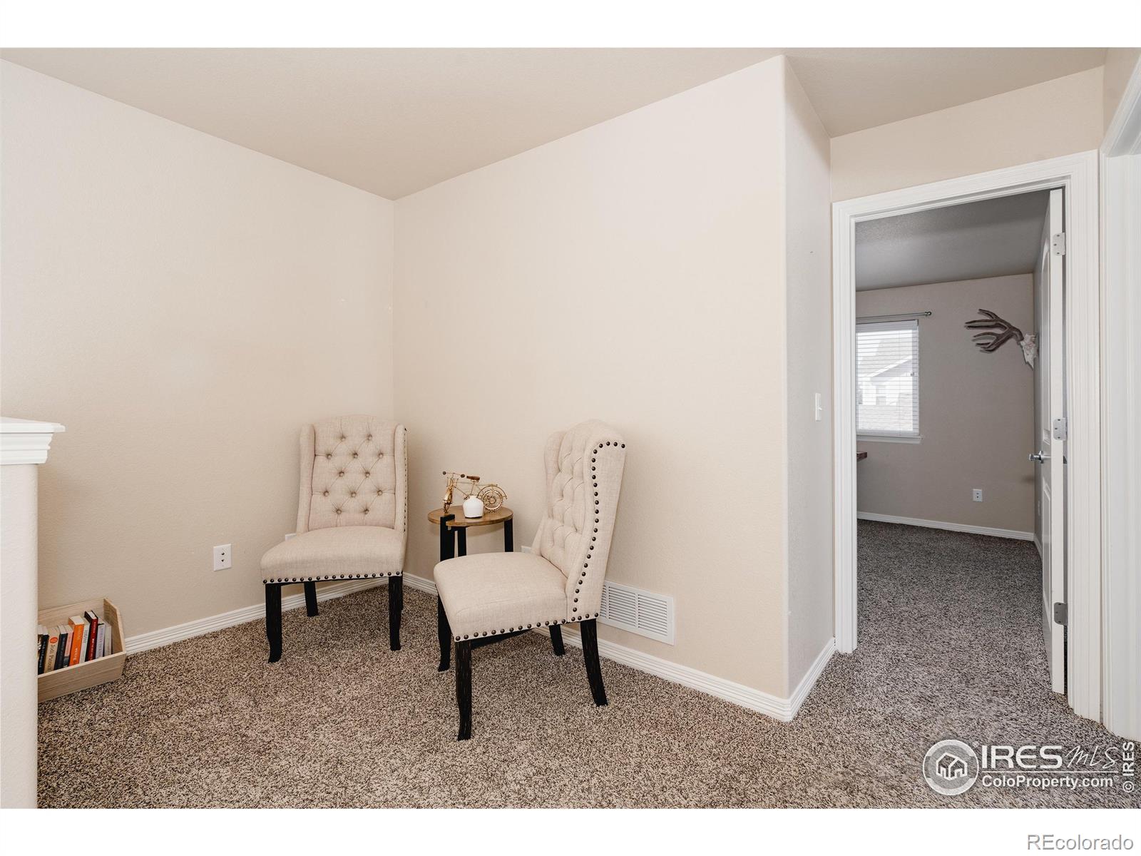 MLS Image #23 for 601  babine court,windsor, Colorado