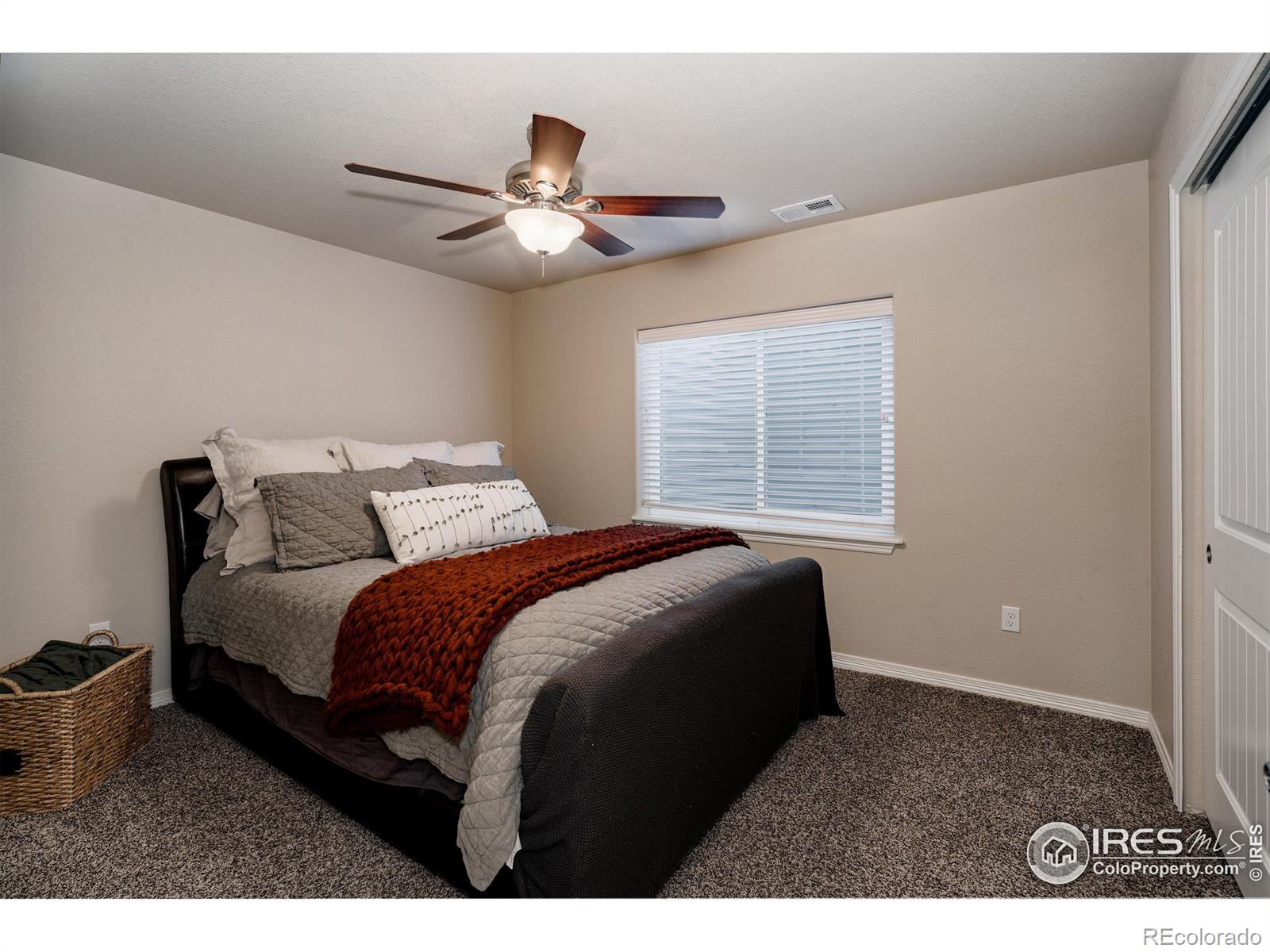 MLS Image #27 for 601  babine court,windsor, Colorado