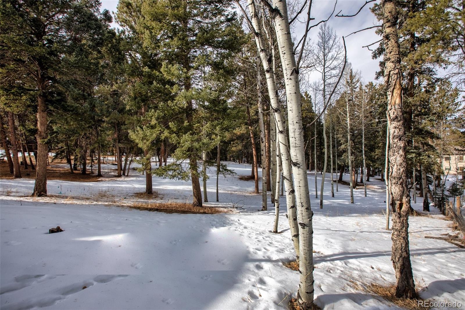 MLS Image #29 for 171  bluebird hill,woodland park, Colorado