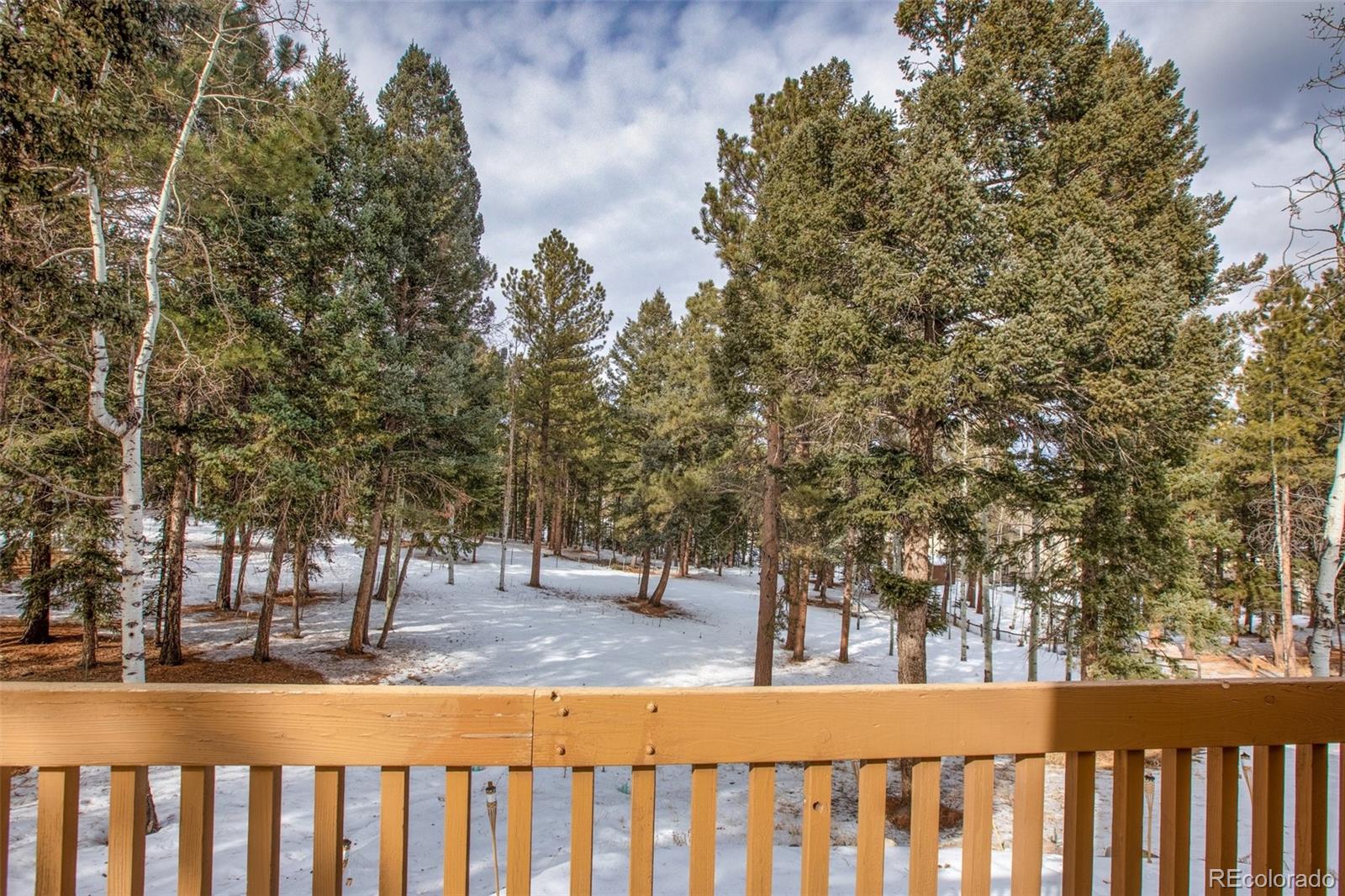 MLS Image #43 for 171  bluebird hill,woodland park, Colorado