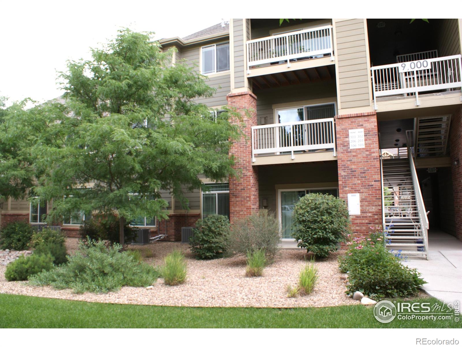 MLS Image #16 for 804  summer hawk drive,longmont, Colorado