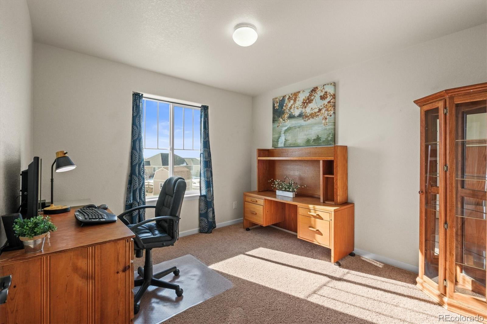 MLS Image #22 for 5774  desert inn loop,elizabeth, Colorado