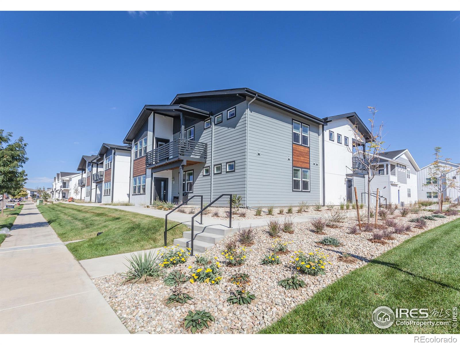 MLS Image #0 for 2120  falling leaf drive,windsor, Colorado