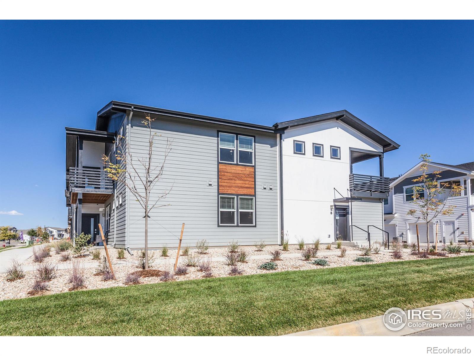 CMA Image for 2120  Falling Leaf Drive,Windsor, Colorado