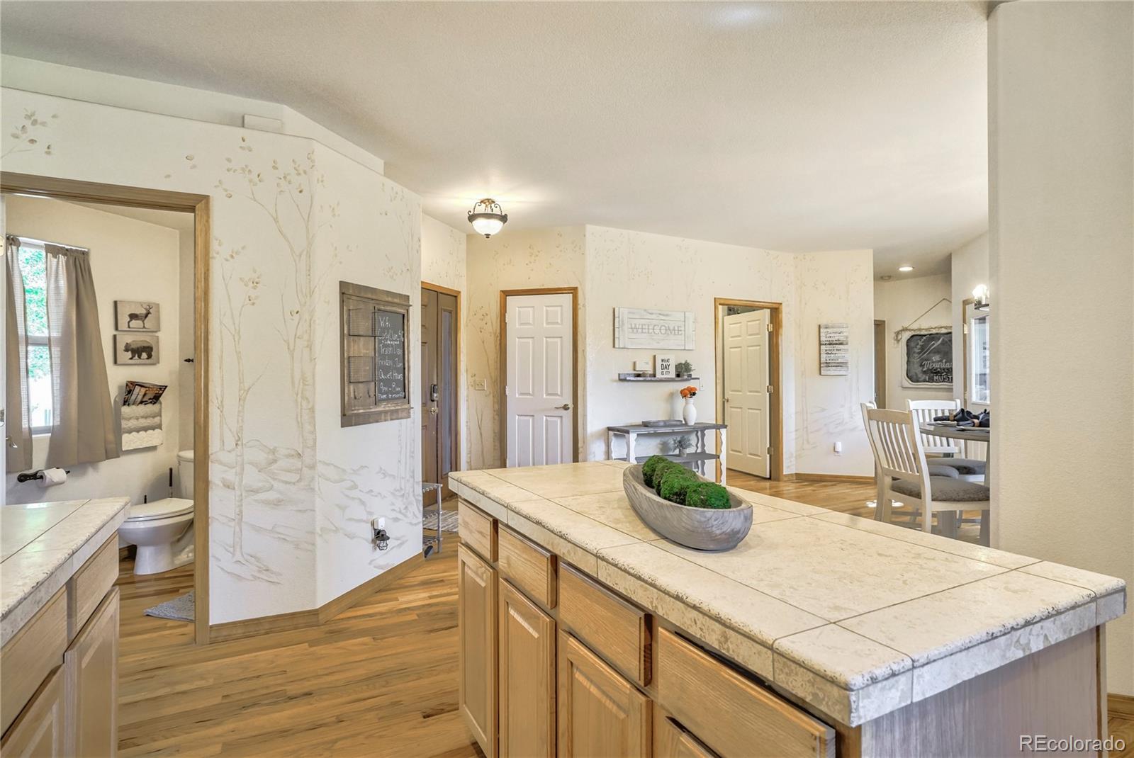 MLS Image #15 for 1301  masters drive,woodland park, Colorado