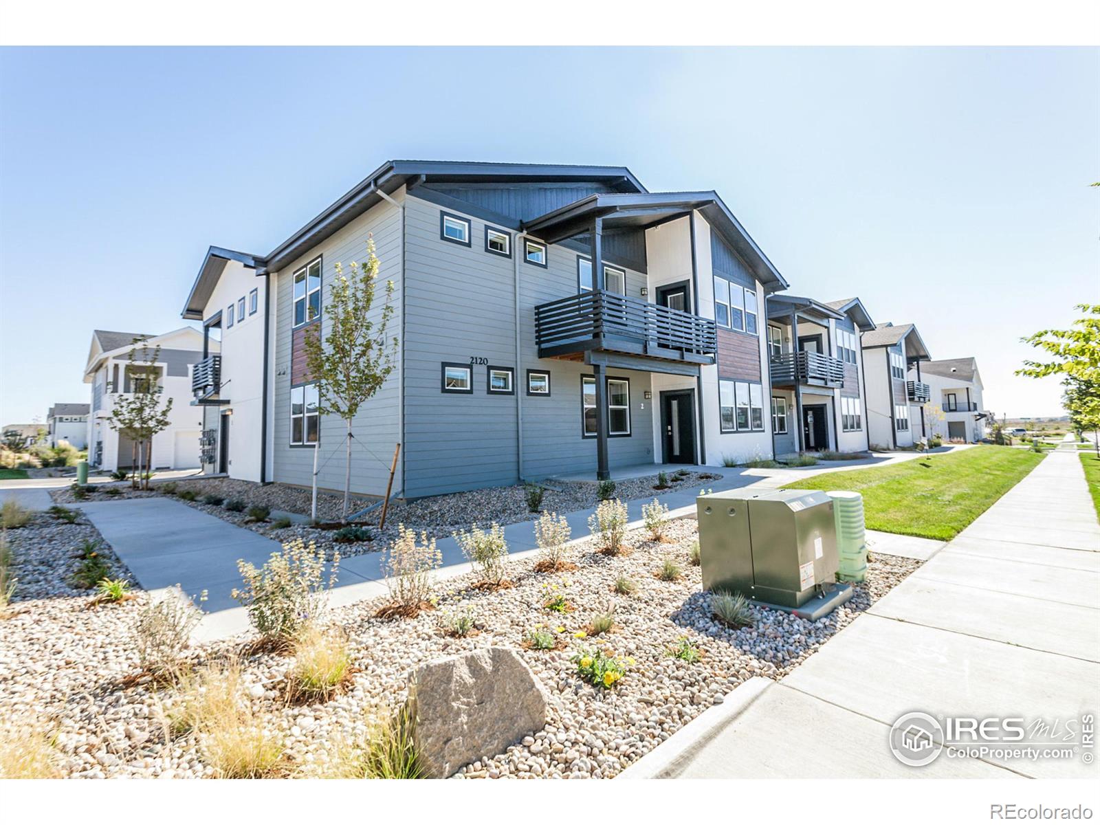 CMA Image for 2120  Falling Leaf Drive,Windsor, Colorado