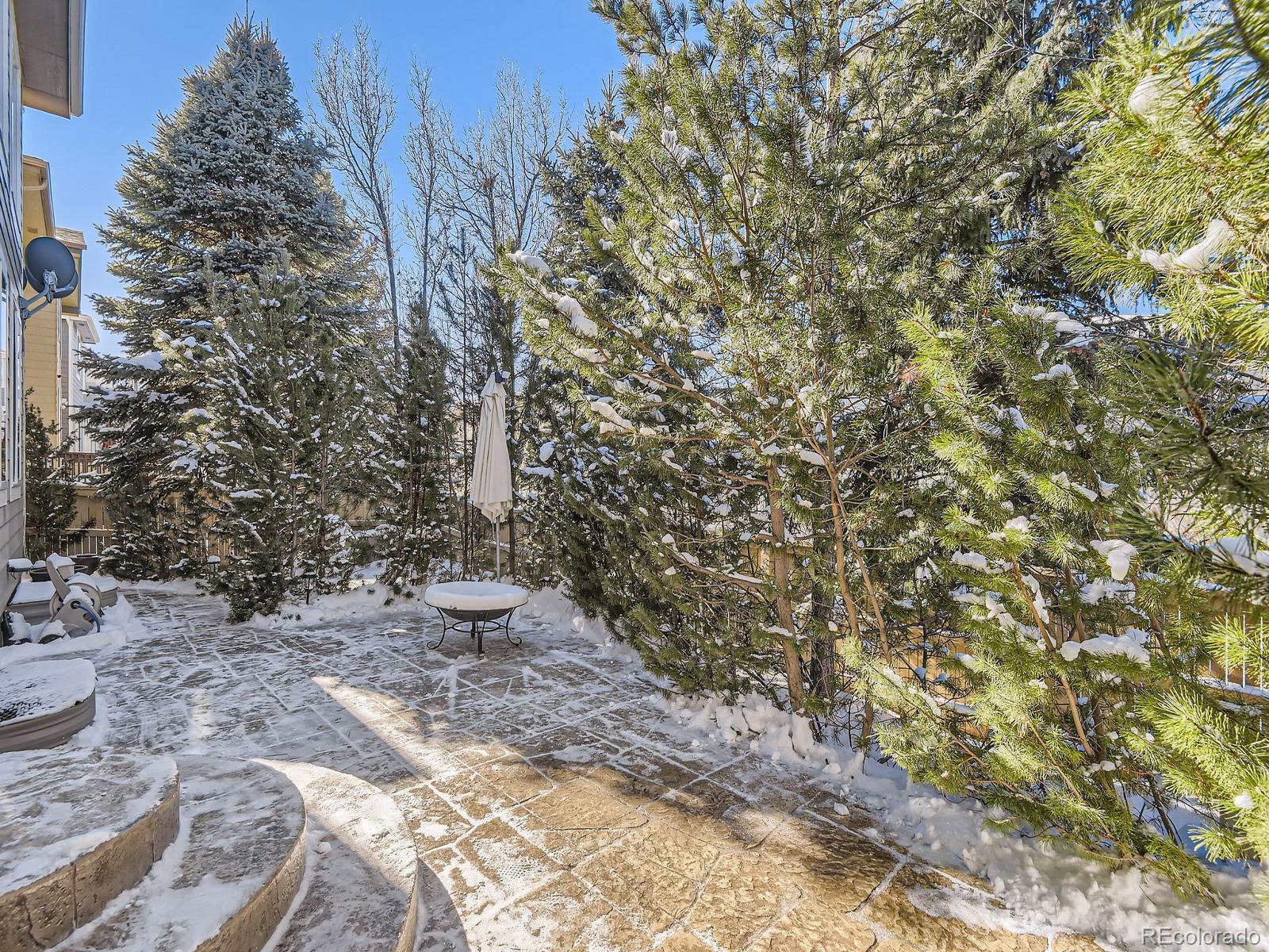 MLS Image #27 for 10767  mountshire circle,highlands ranch, Colorado