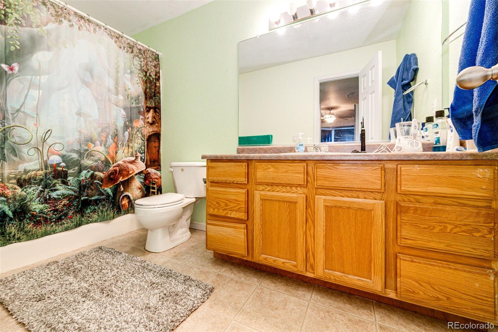 MLS Image #19 for 68  bristol lane,johnstown, Colorado