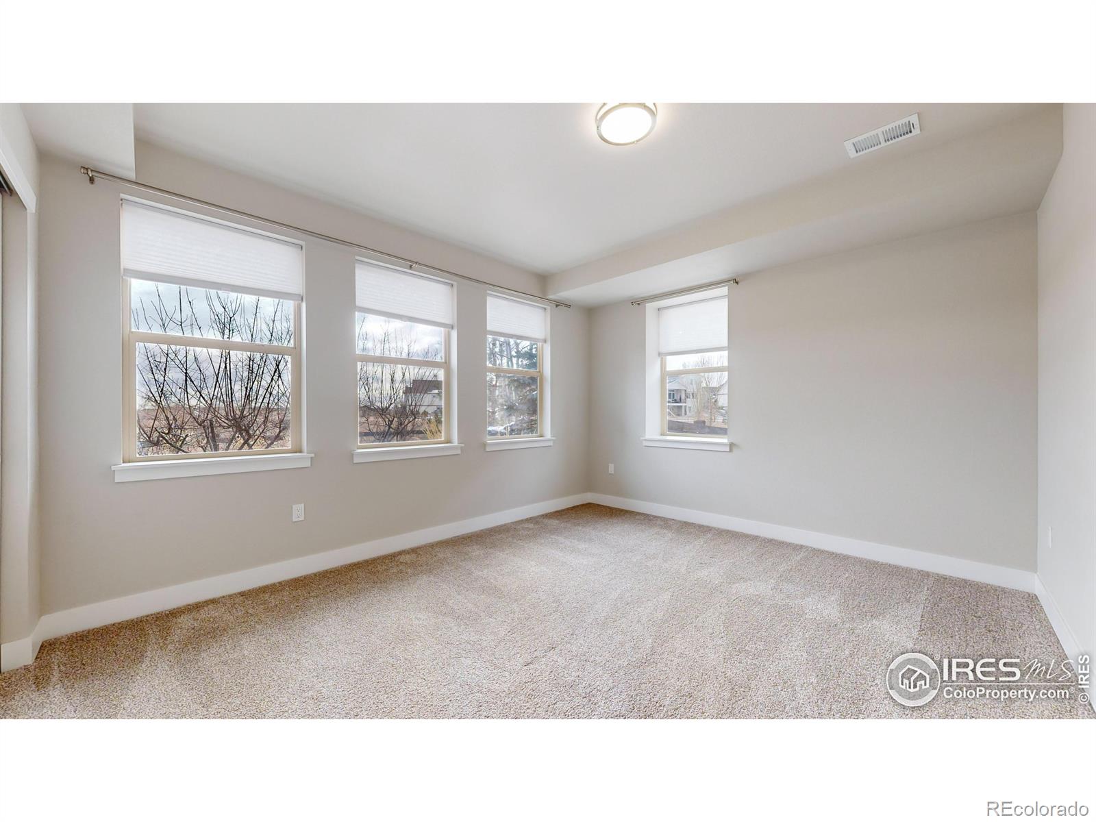 MLS Image #20 for 2510  bluestem willow drive,loveland, Colorado