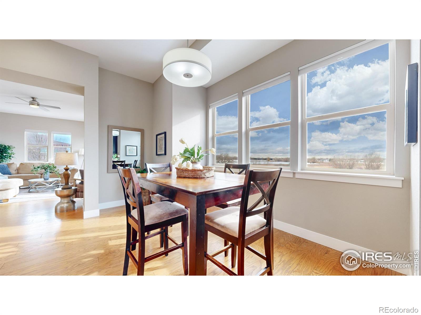 MLS Image #8 for 2510  bluestem willow drive,loveland, Colorado