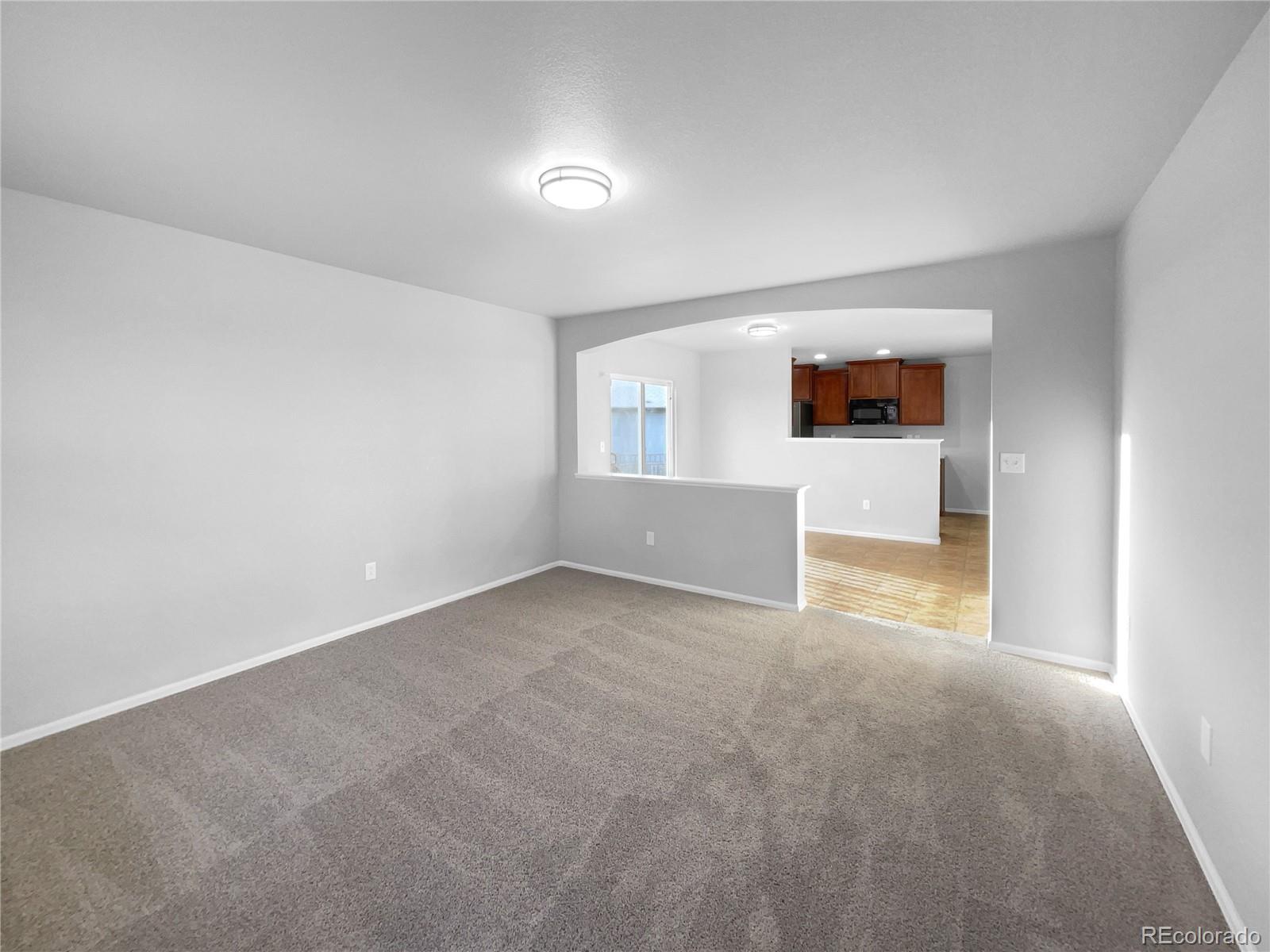 MLS Image #8 for 5242  longs peak street,brighton, Colorado